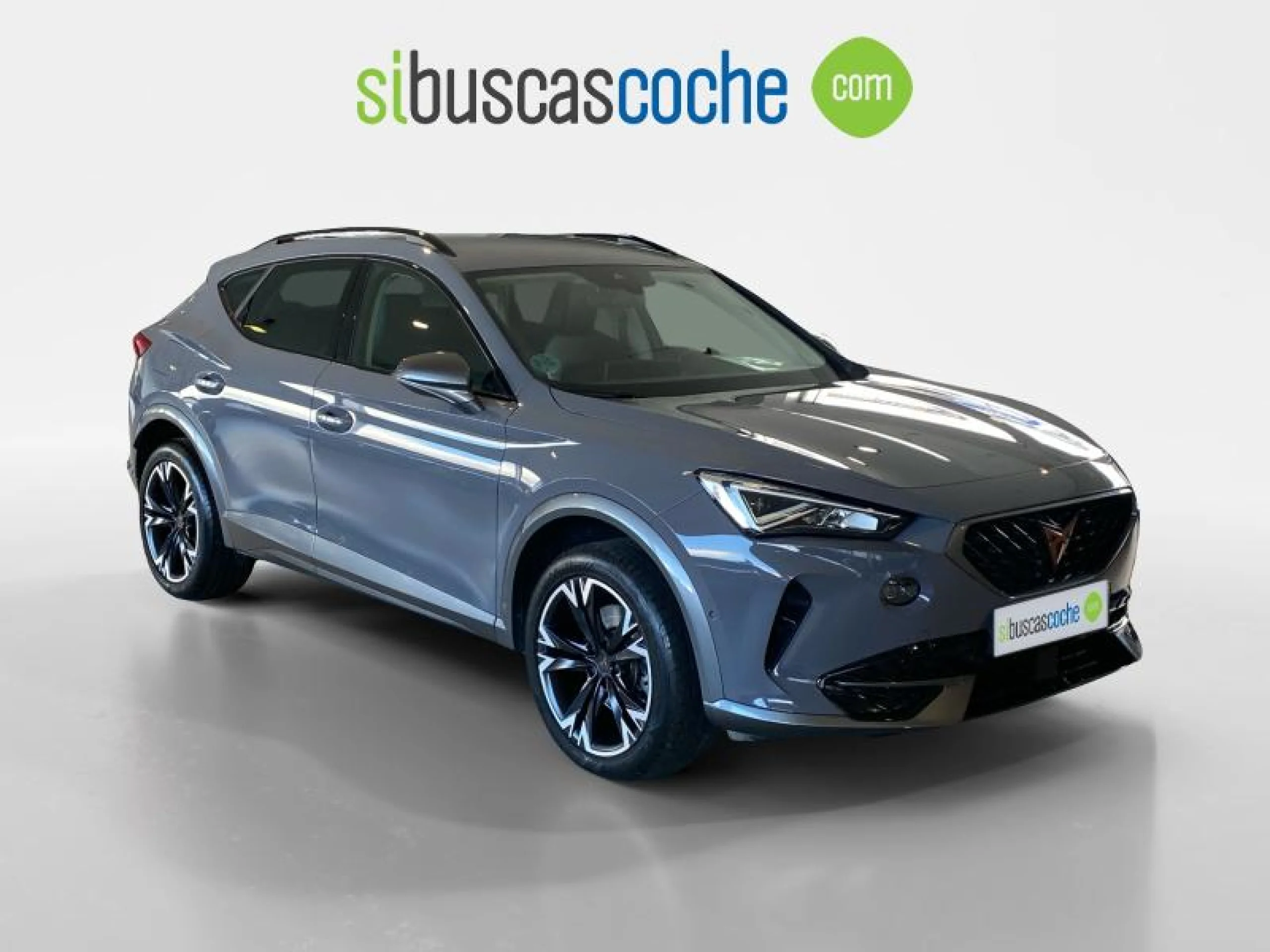 CUPRA FORMENTOR 2.0 TDI 110KW (150 CV) - Foto 1