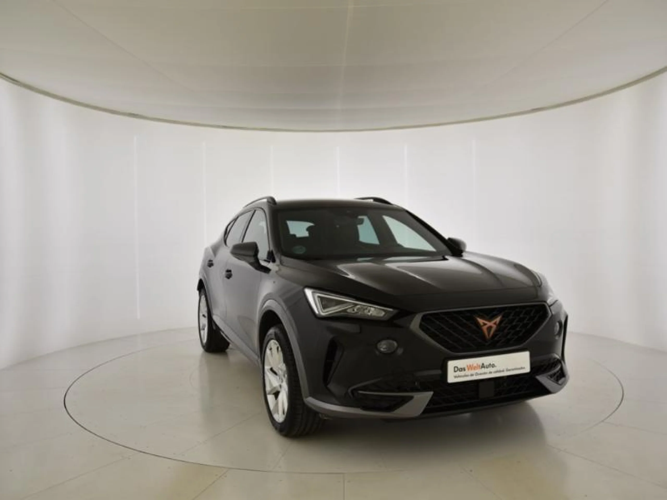 CUPRA FORMENTOR 1.5 TSI 110KW (150 CV) - Foto 1