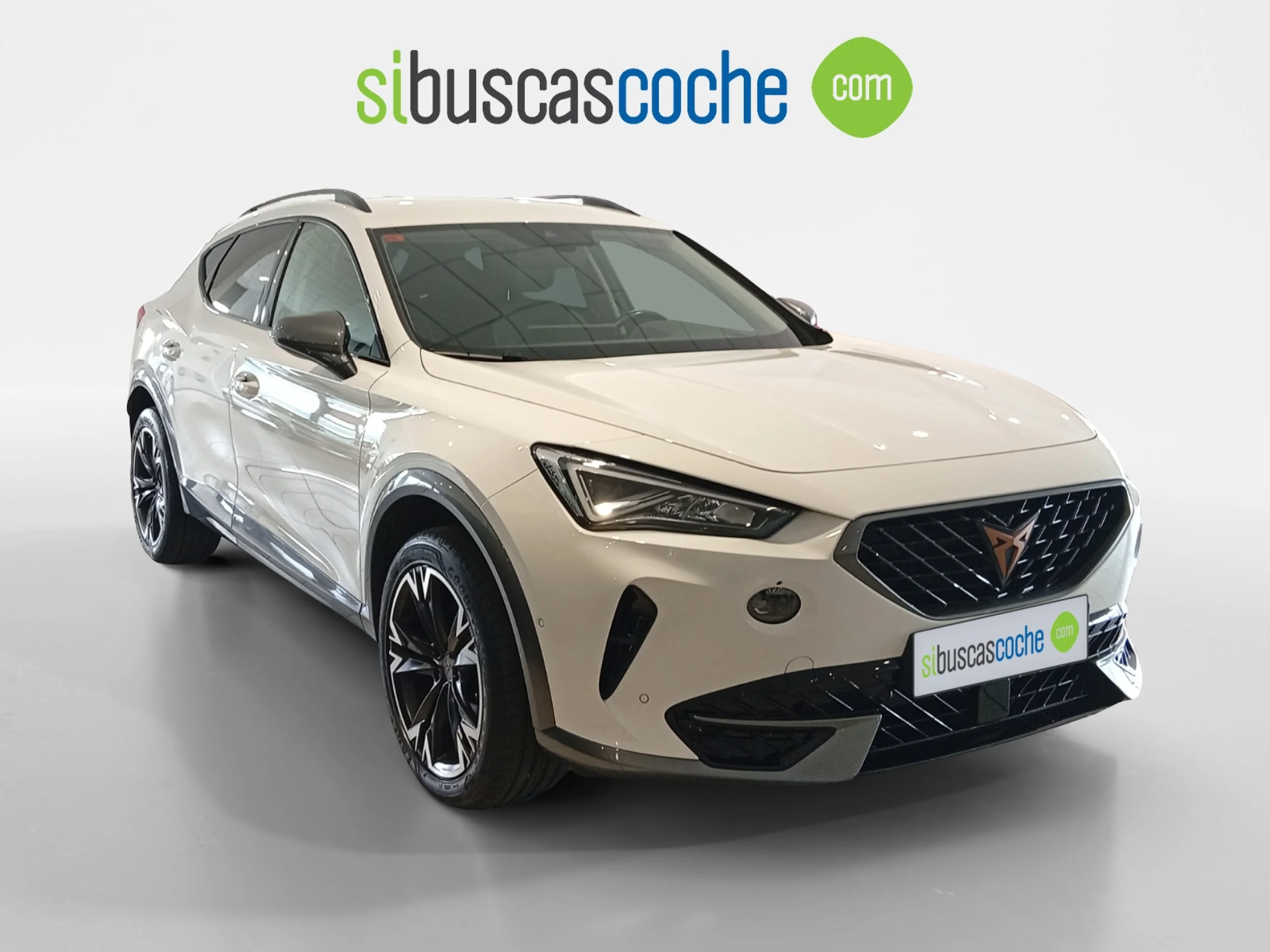 CUPRA FORMENTOR 1.5 TSI 110KW (150 CV) DSG - Foto 1