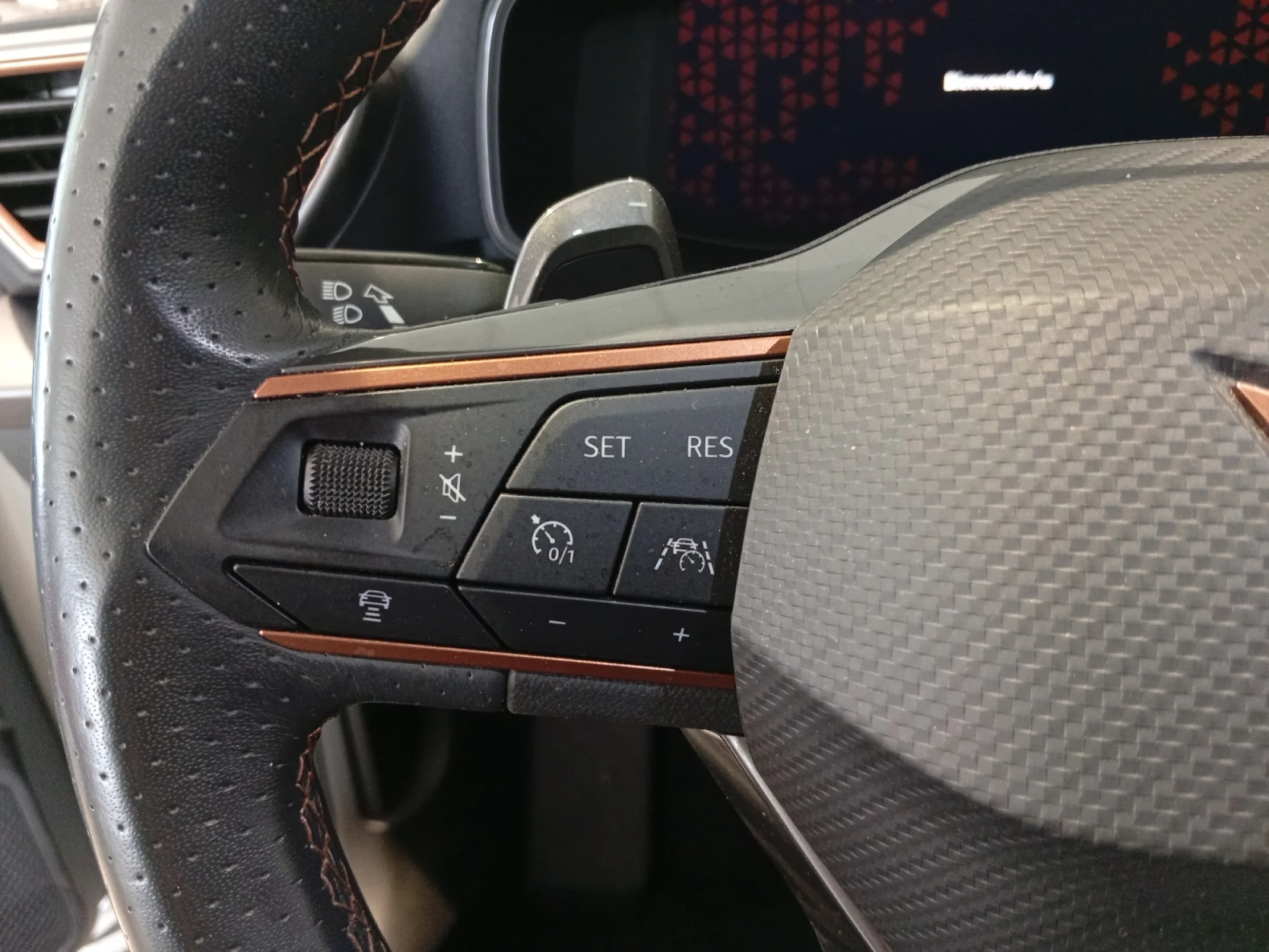 CUPRA FORMENTOR 1.5 TSI 110KW (150 CV) DSG - Foto 10