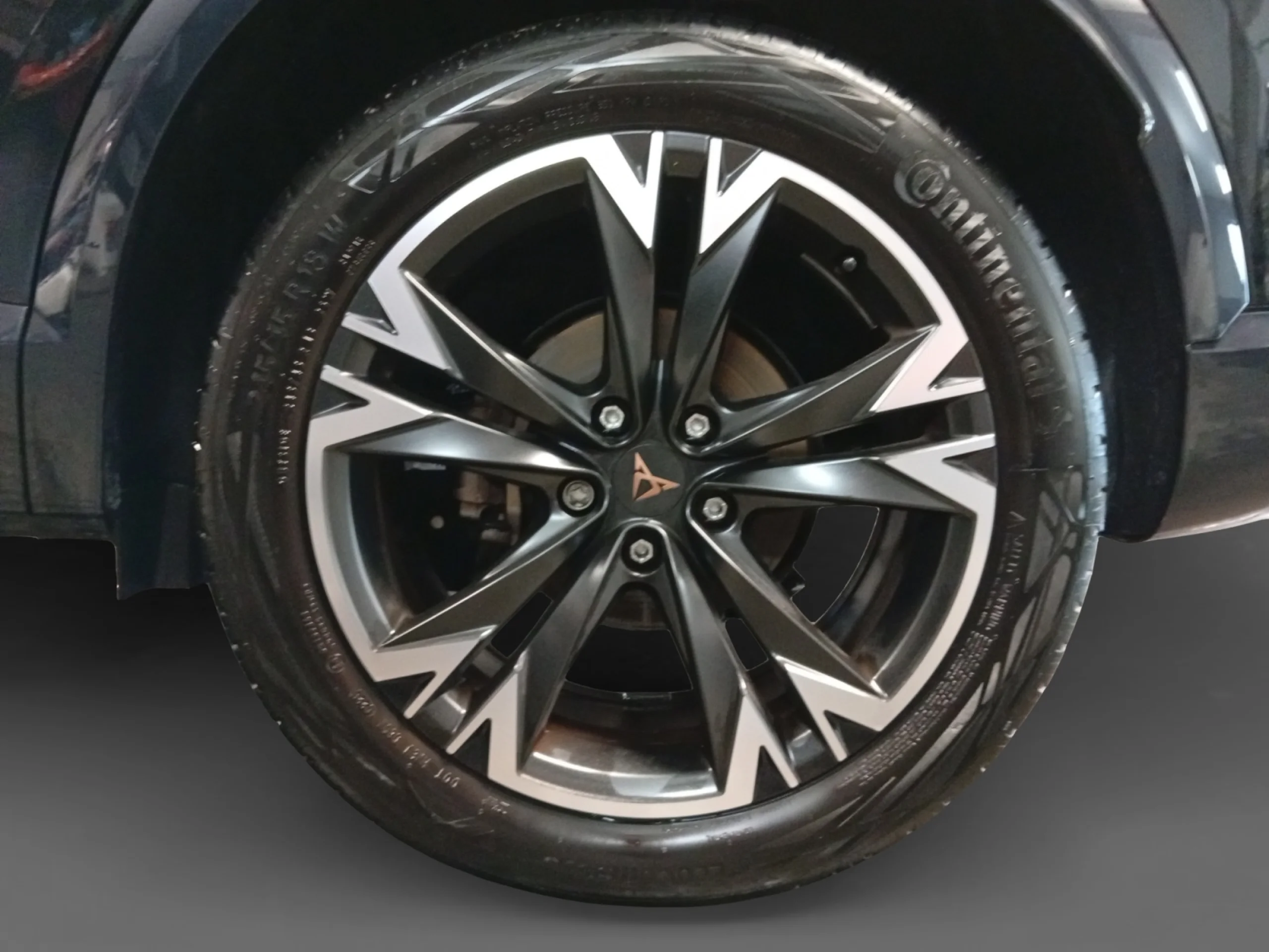 CUPRA FORMENTOR 1.5 ETSI 110KW (150 CV) DSG - Foto 8