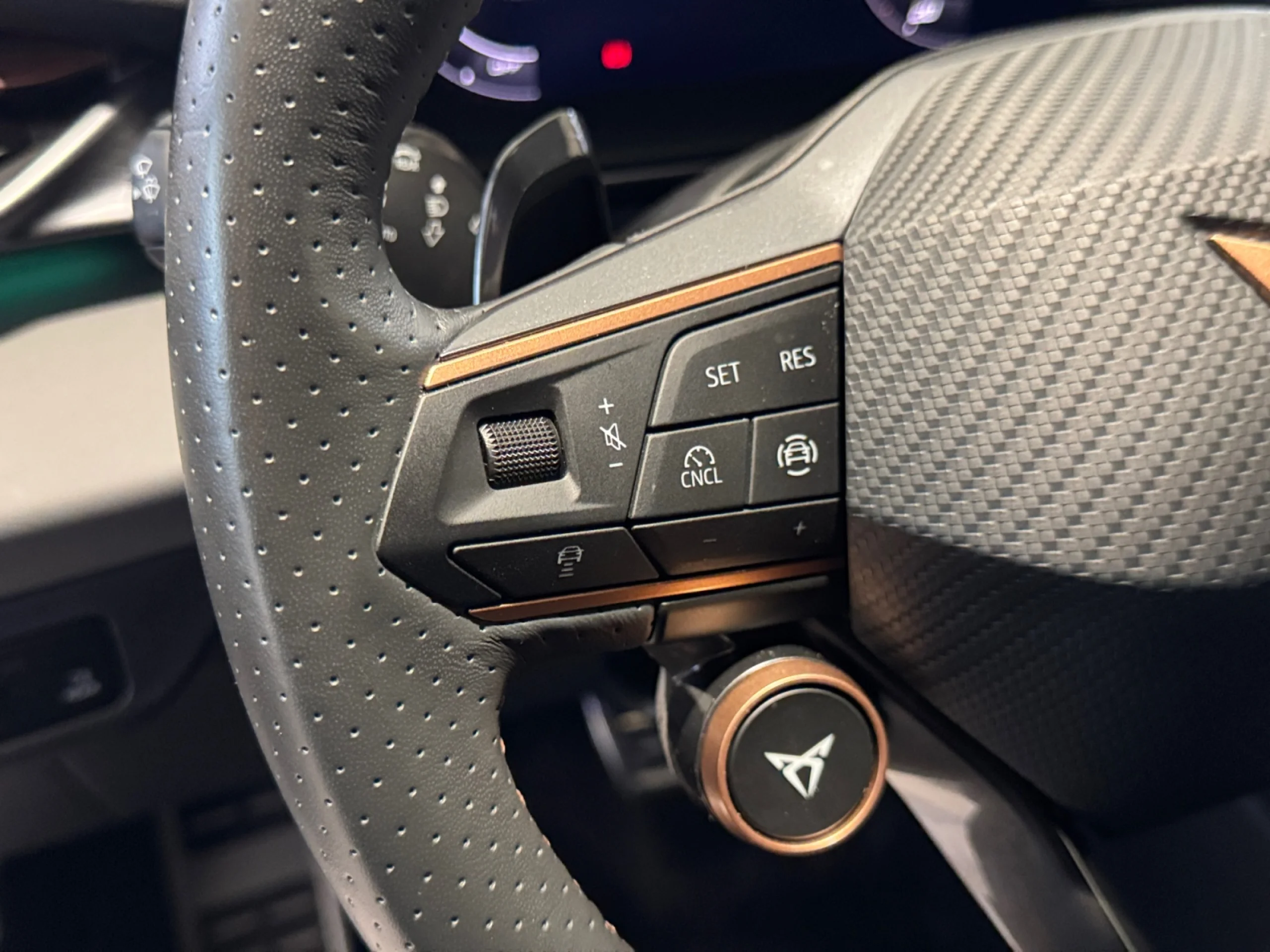 CUPRA TERRAMAR 1.5 ETSI 110KW (150 CV) DSG - Foto 11