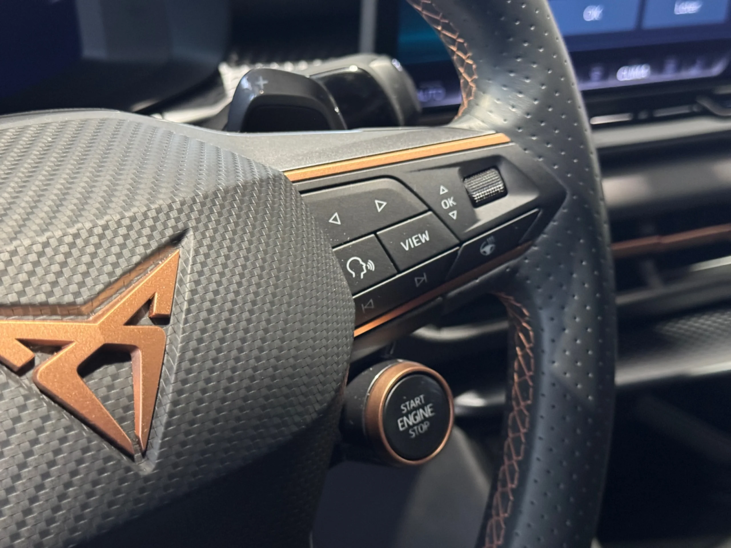 CUPRA TERRAMAR 1.5 ETSI 110KW (150 CV) DSG - Foto 12