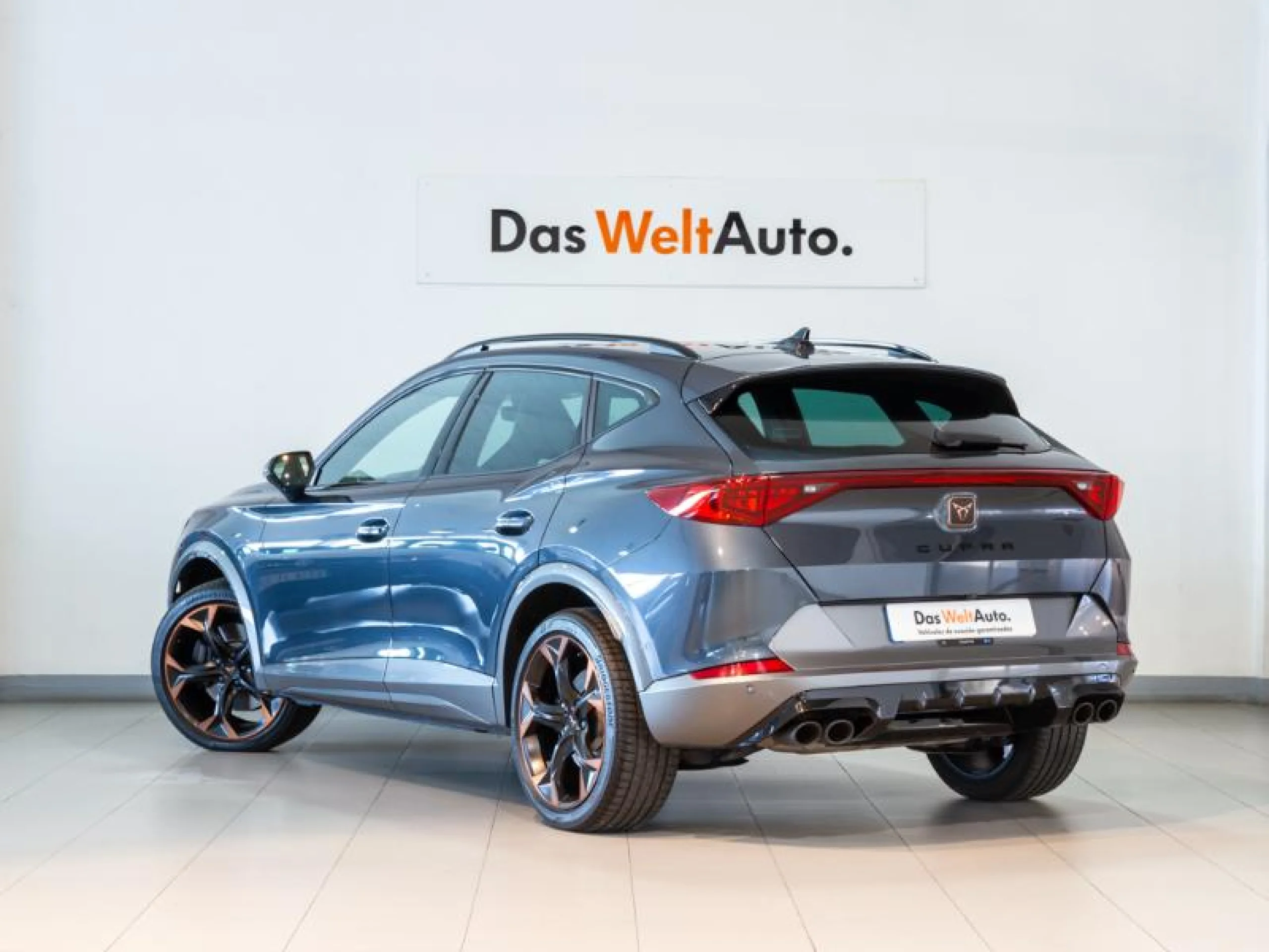 CUPRA FORMENTOR 2.0 TSI 228KW (310 CV) VZ 4DRIVE DSG - Foto 2
