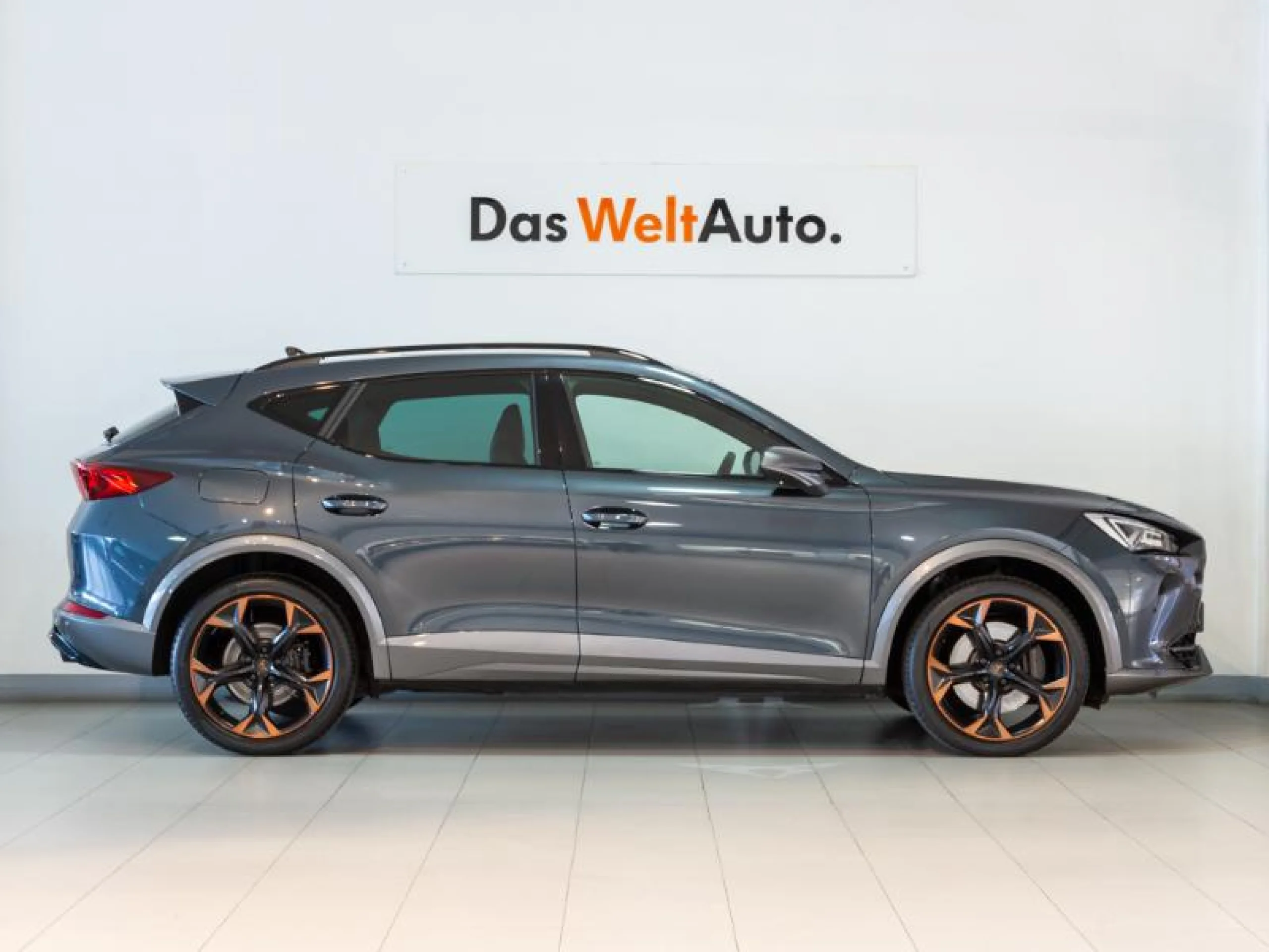 CUPRA FORMENTOR 2.0 TSI 228KW (310 CV) VZ 4DRIVE DSG - Foto 3