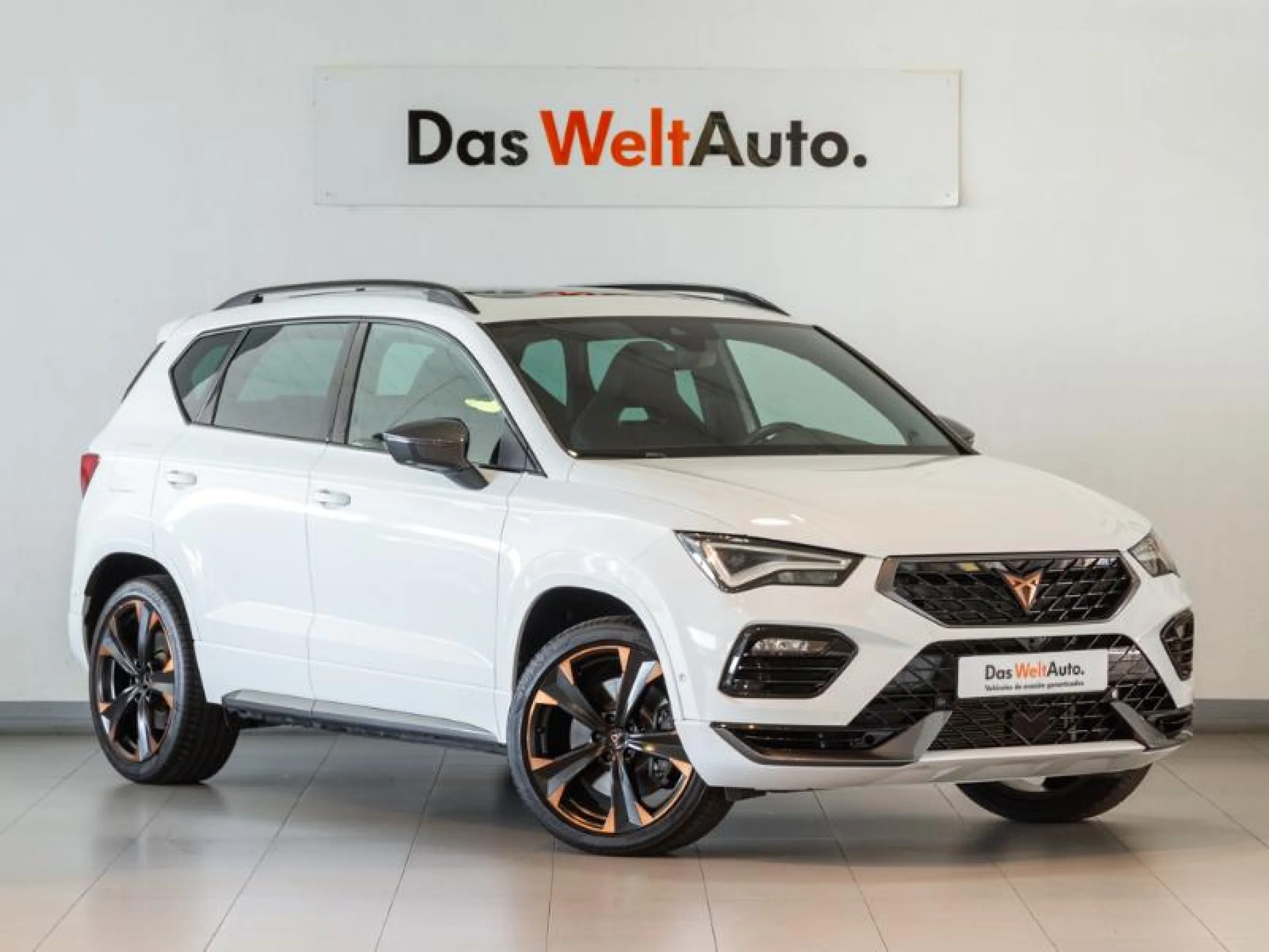 CUPRA ATECA 2.0 TSI 221KW (300CV) 4DRIVE DSG - Foto 1