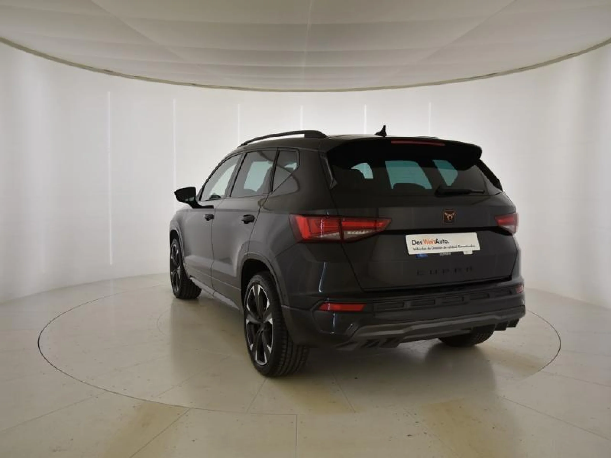 CUPRA ATECA 2.0 TSI 140KW (190CV) 4DRIVE DSG - Foto 2