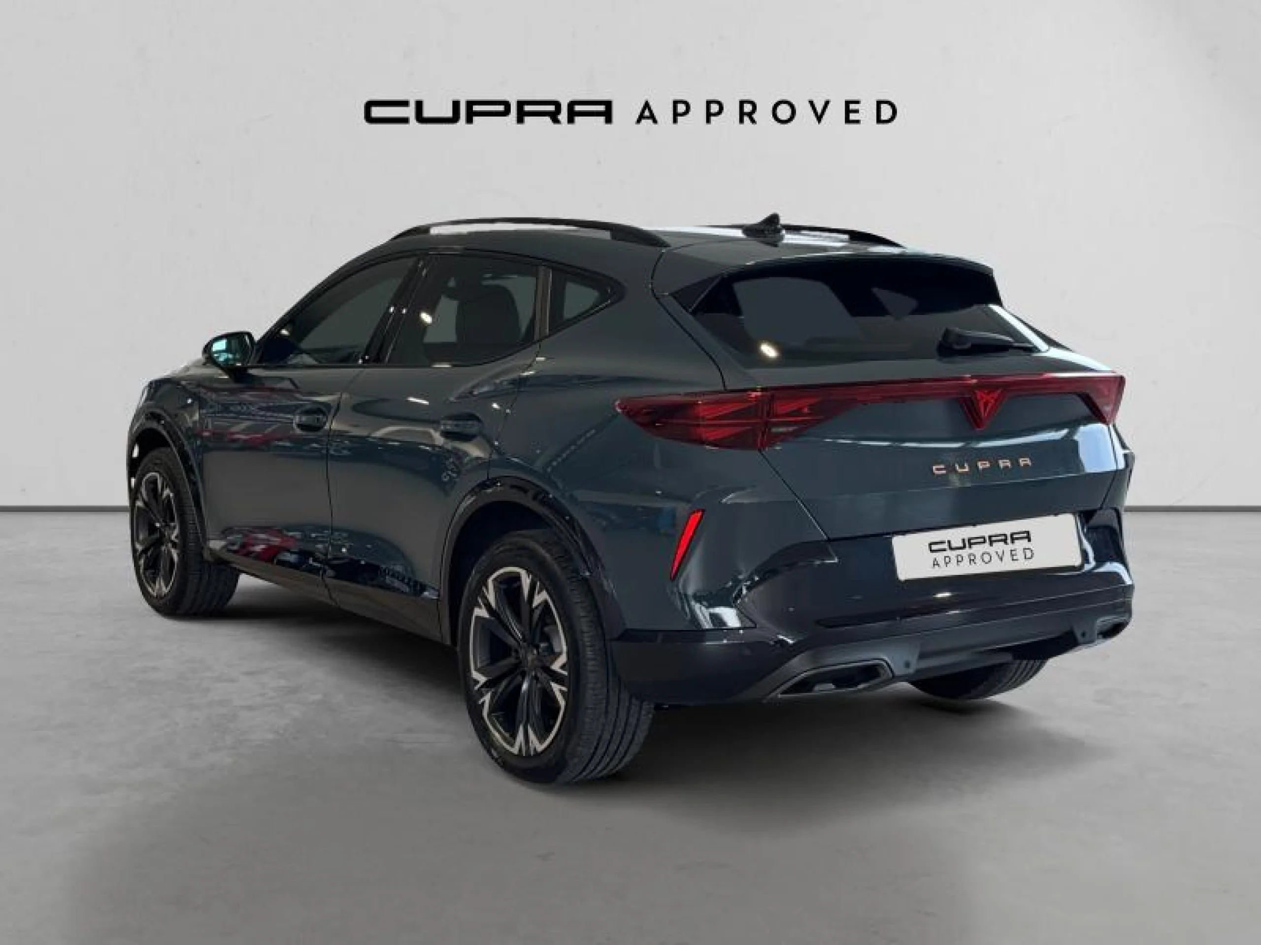 CUPRA FORMENTOR 1.5 ETSI 110KW (150 CV) DSG - Foto 2