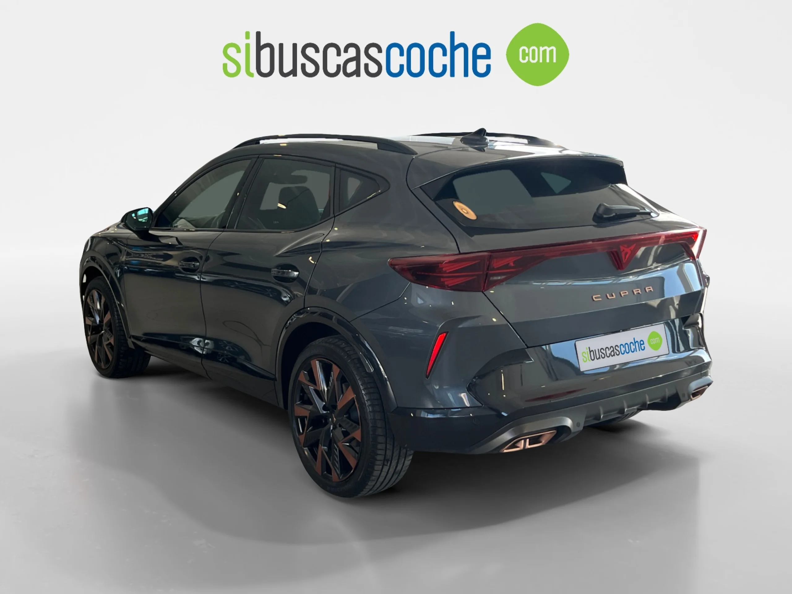 CUPRA FORMENTOR 1.5 TSI E HYBRID 150KW (204 CV) DSG - Foto 2