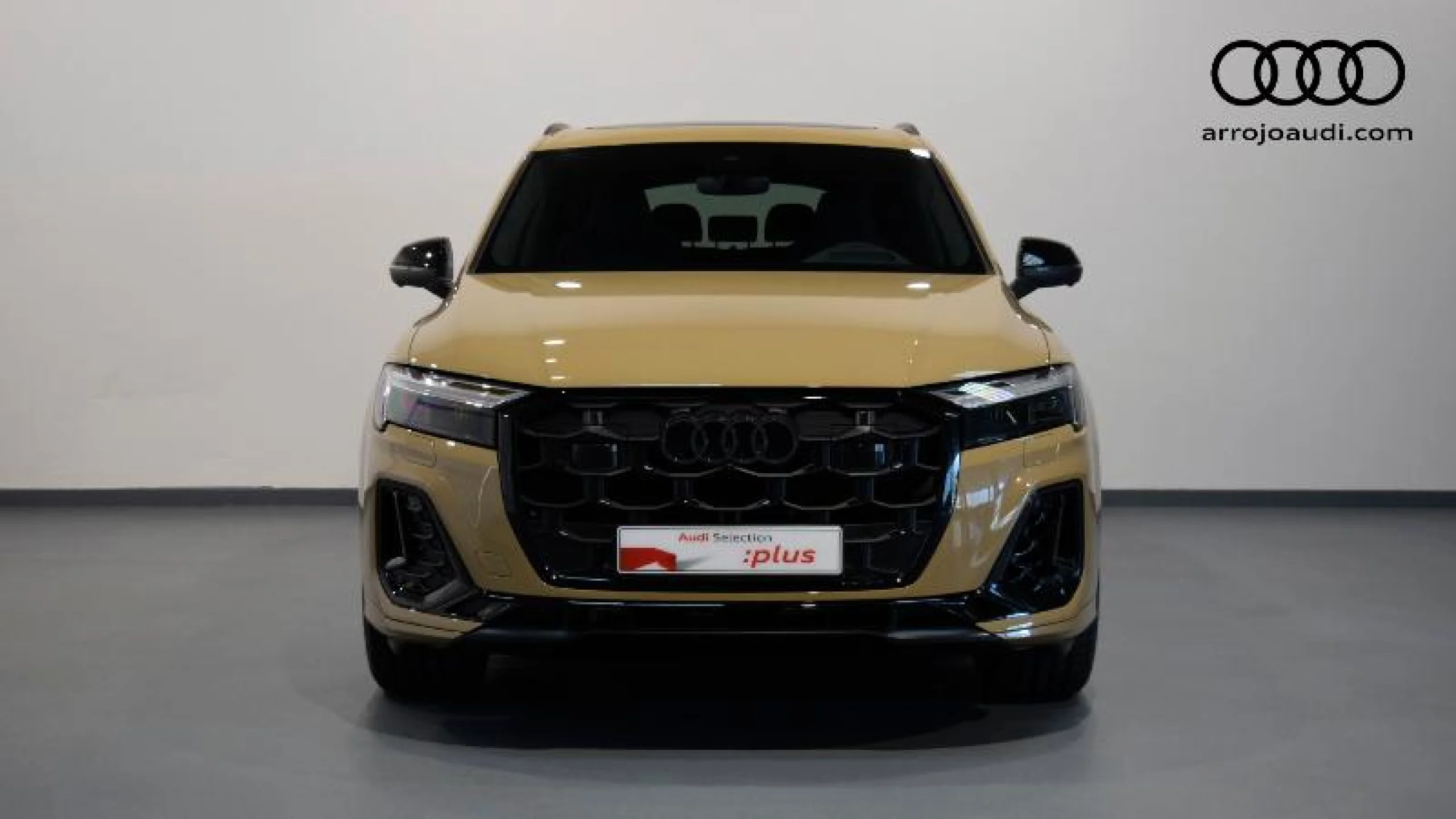 AUDI Q7 BLACK LINE ED. 50 TDI QUATTRO 210KW TIPT - Foto 10