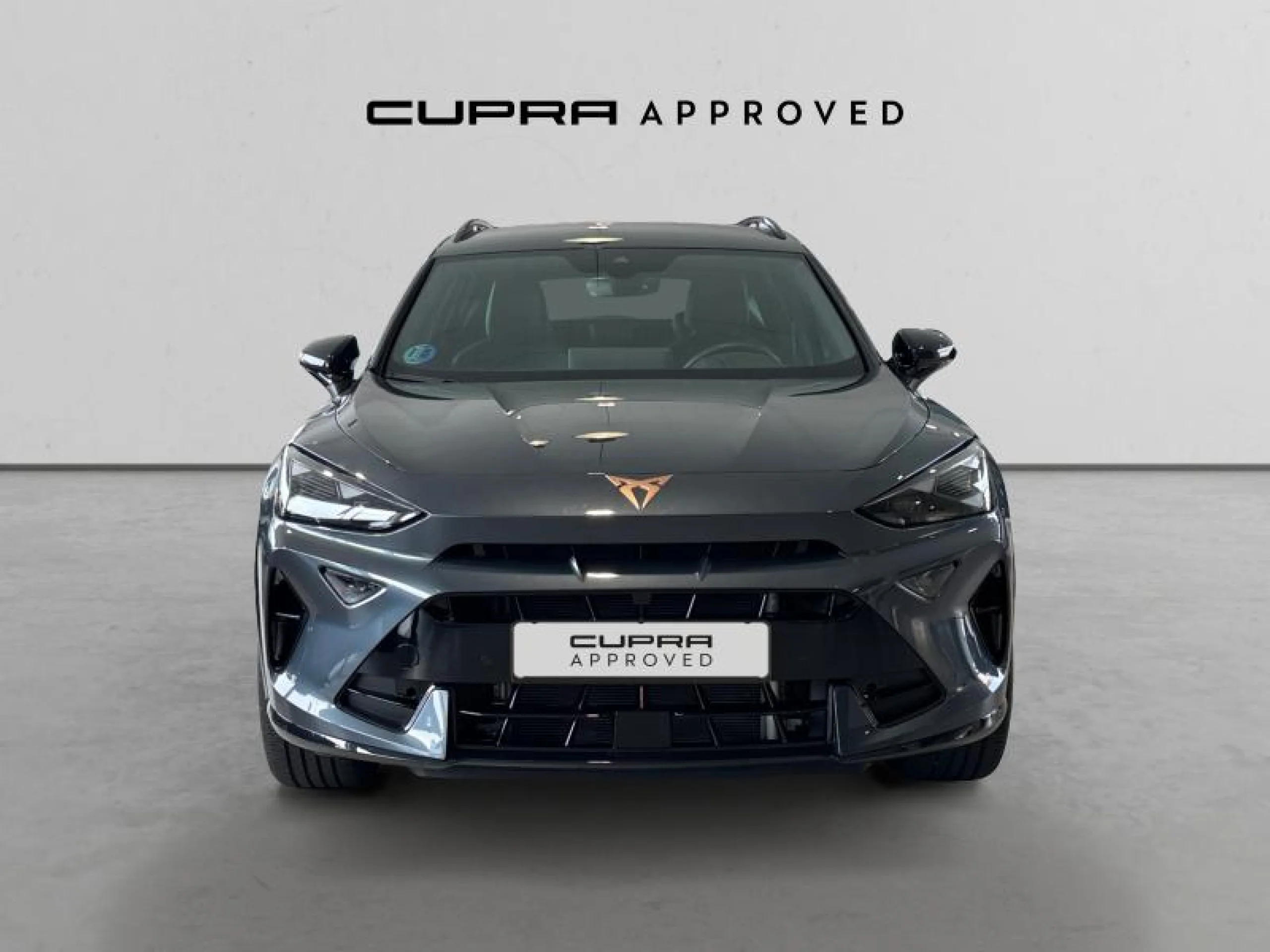 CUPRA FORMENTOR 1.5 TSI E HYBRID 150KW (204 CV) DSG - Foto 12