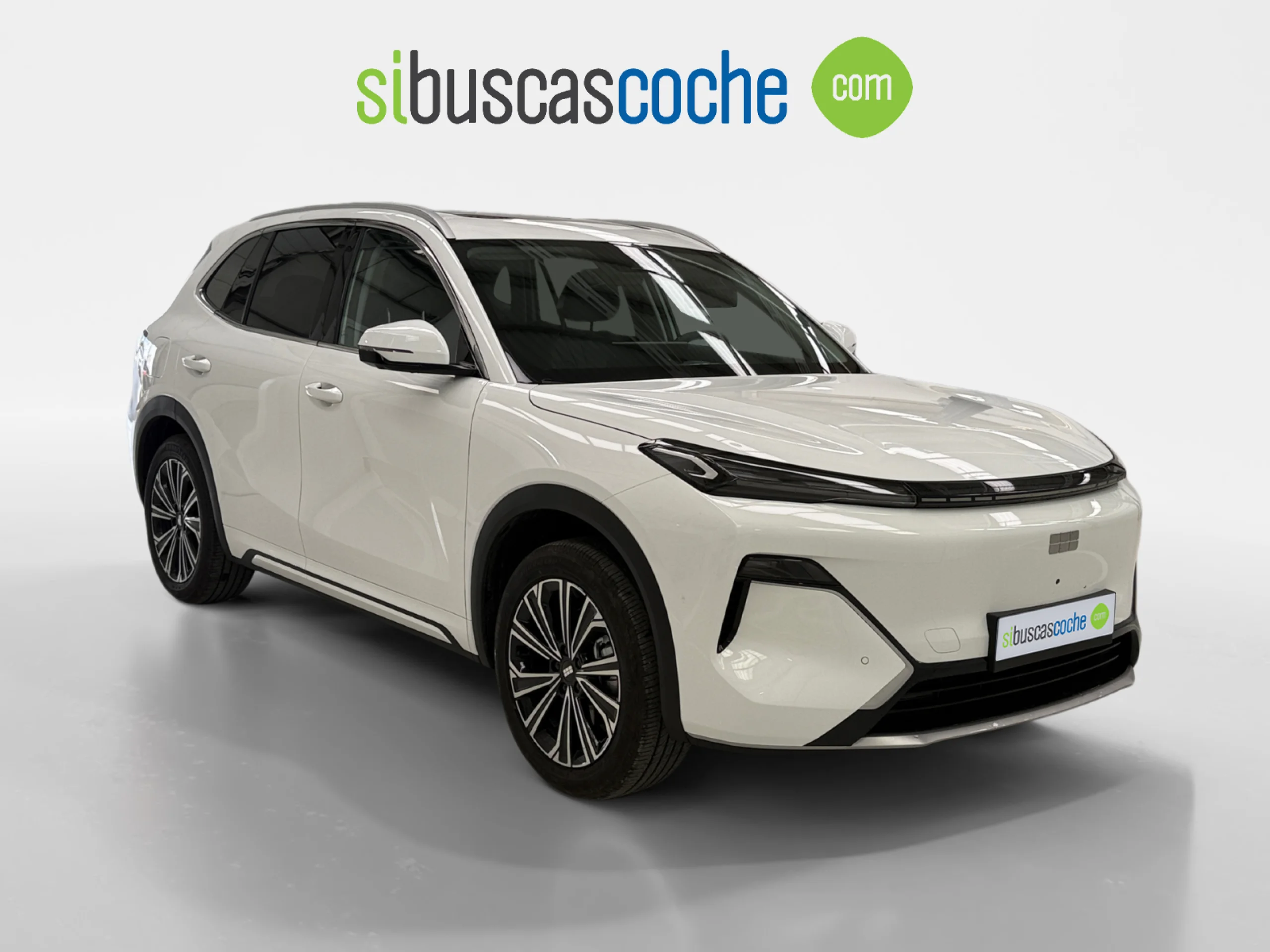 GEELY STARRAY EM I STARRAY MAX+ - Foto 1