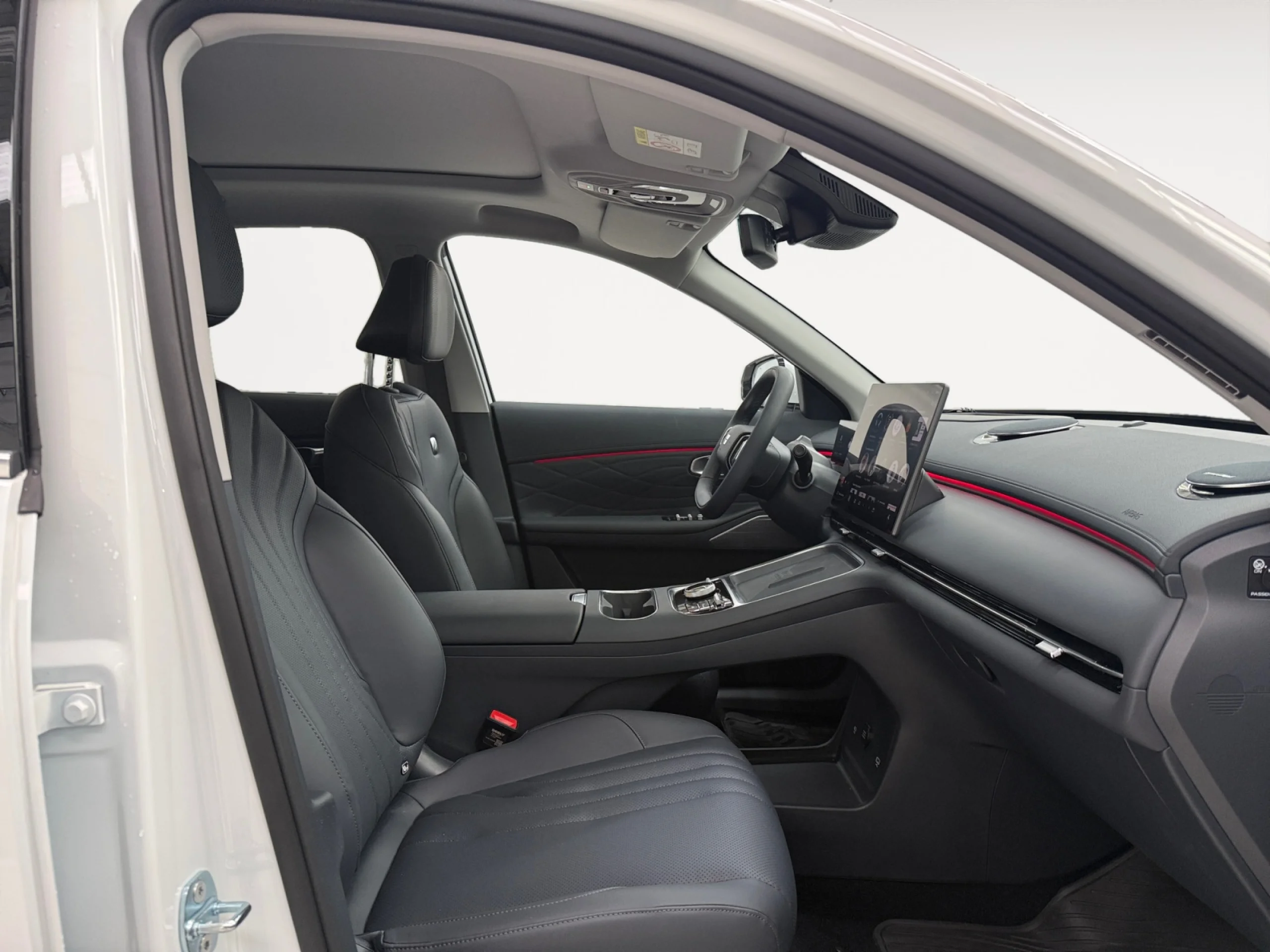 GEELY STARRAY EM I STARRAY MAX+ - Foto 5