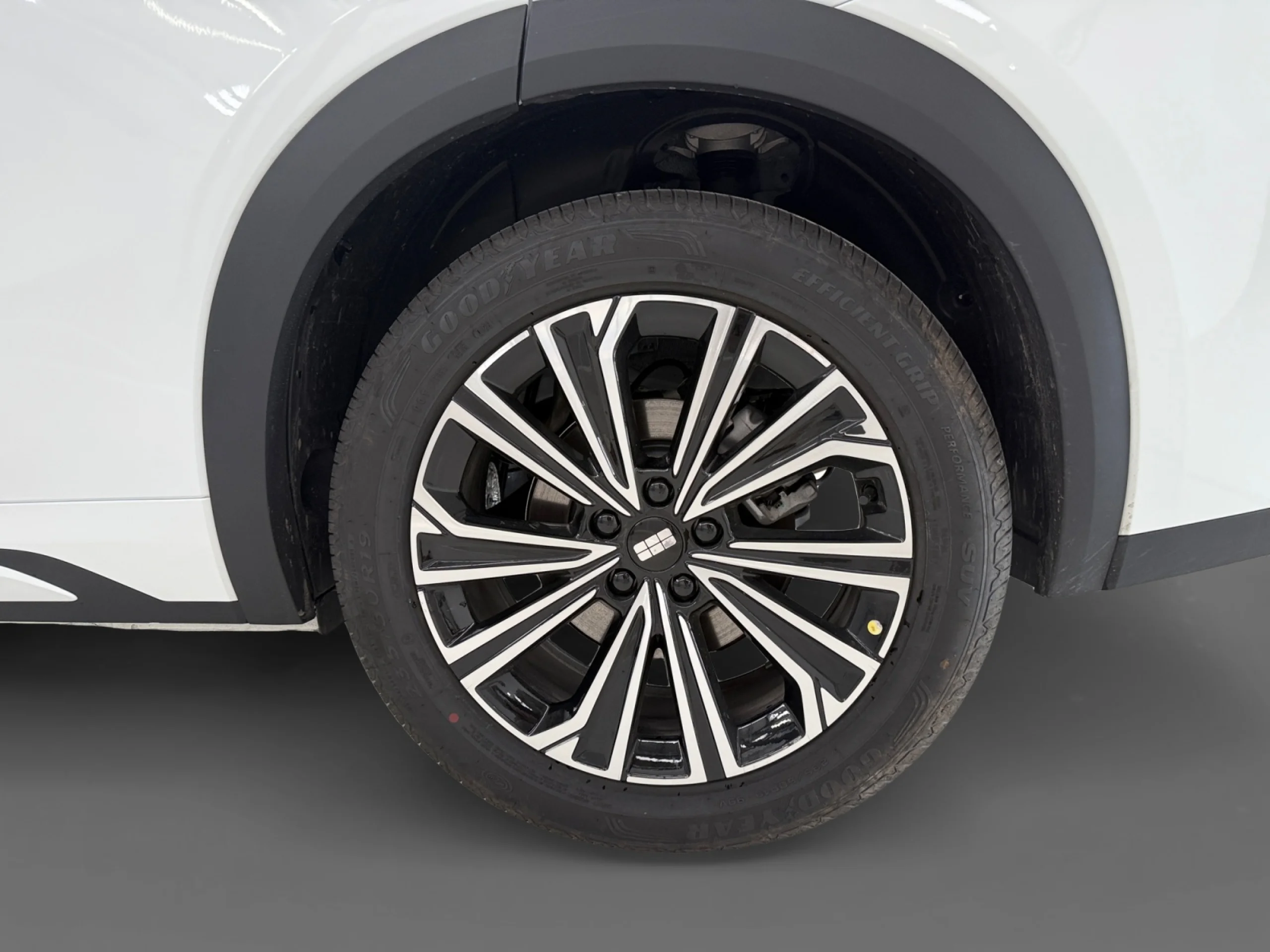 GEELY STARRAY EM I STARRAY MAX+ - Foto 9