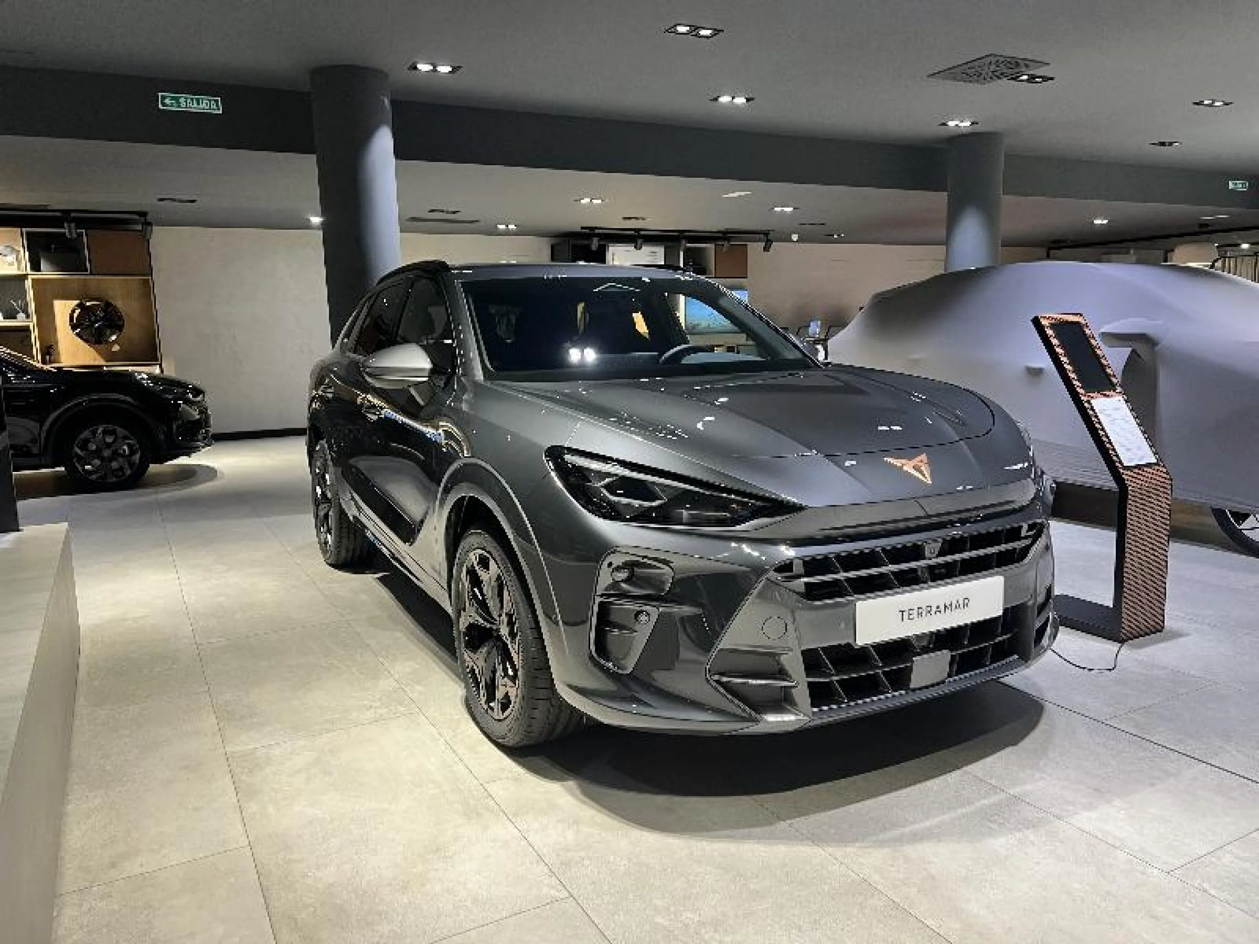 CUPRA TERRAMAR 1.5 TSI E HYBRID 150KW (204 CV) DSG - Foto 2