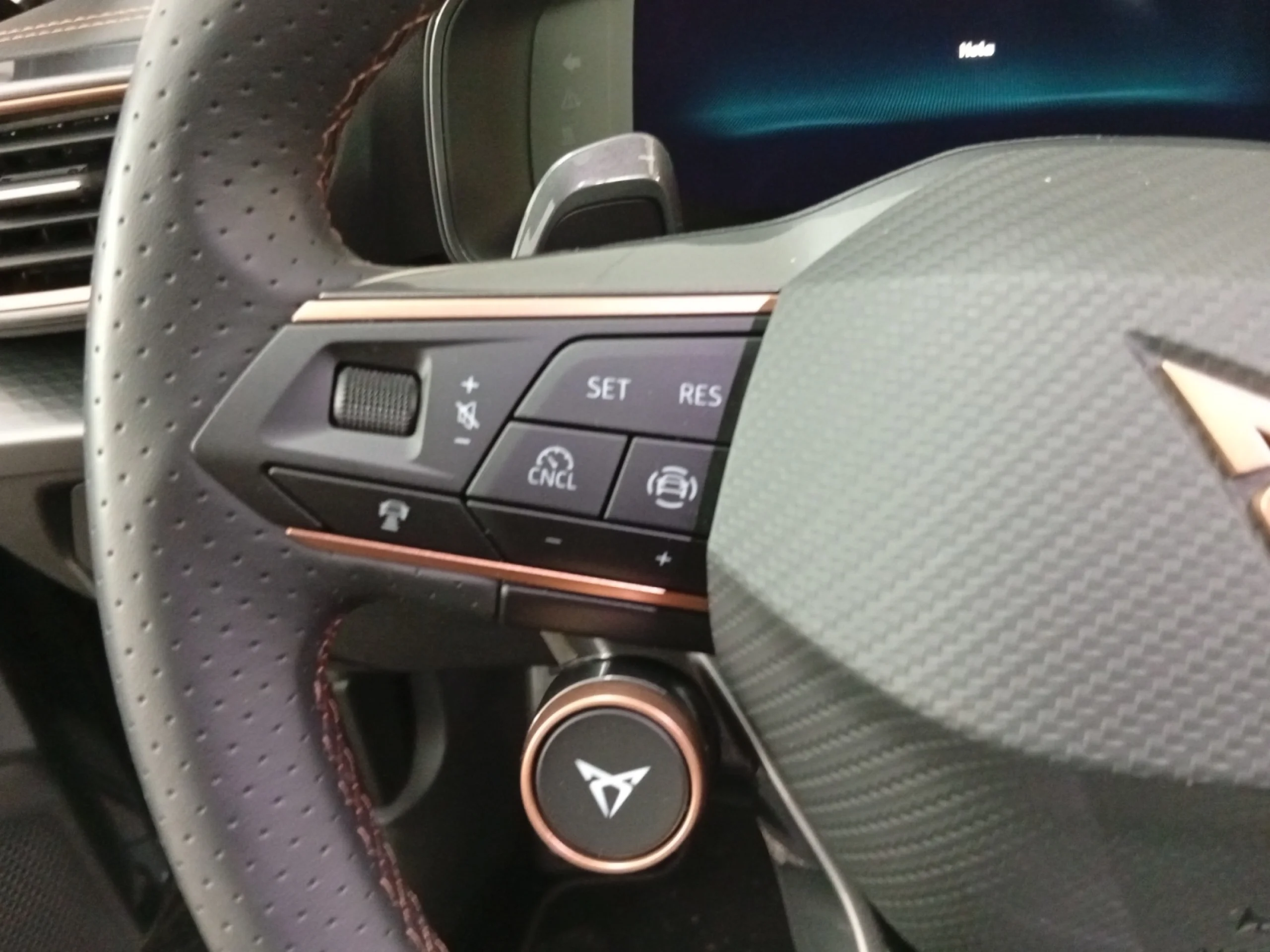 CUPRA FORMENTOR 1.5 TSI 110KW (150 CV) DSG - Foto 11