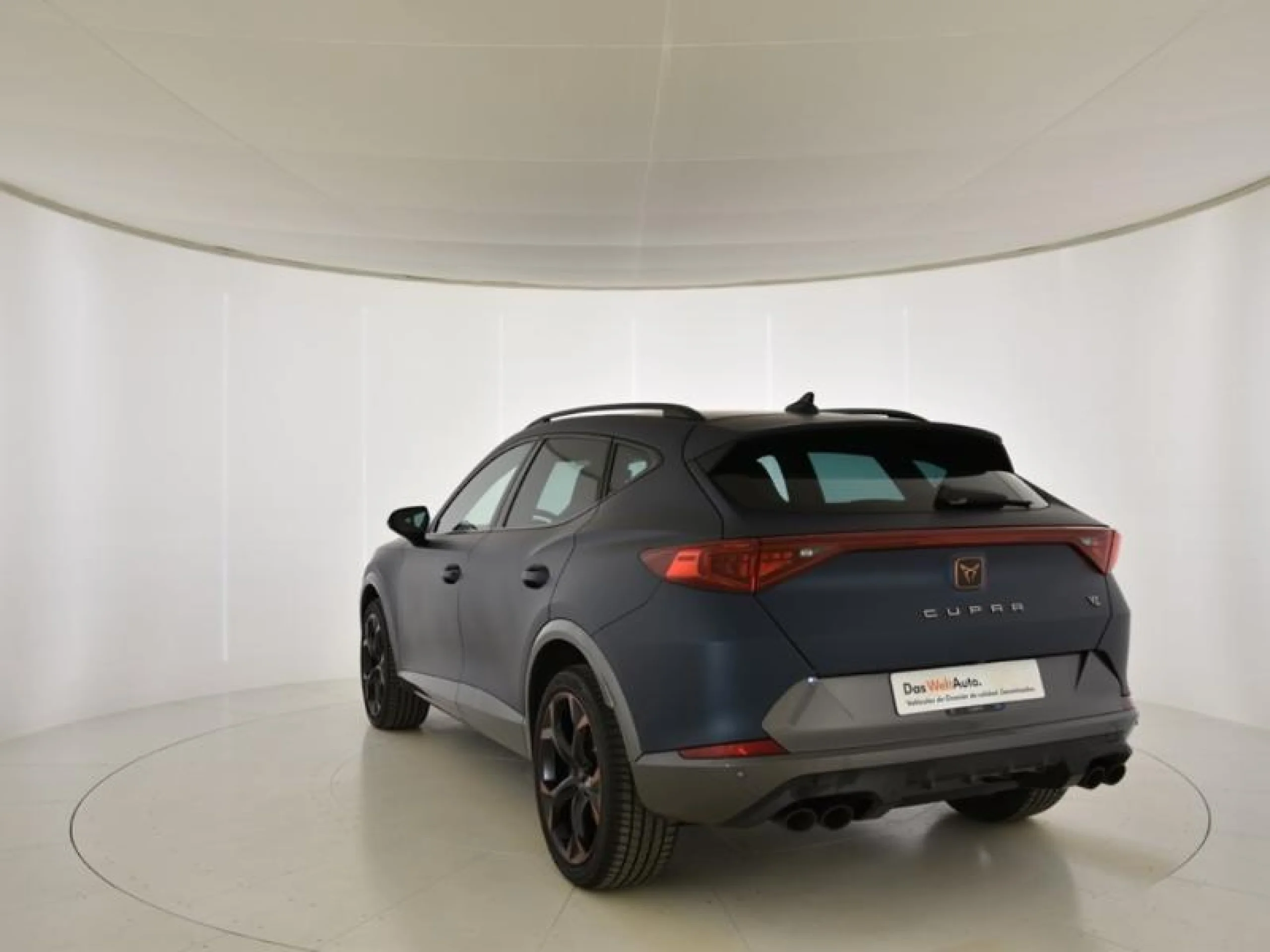 CUPRA FORMENTOR 2.0 TSI 228KW (310 CV) VZ 4DRIVE DSG - Foto 2