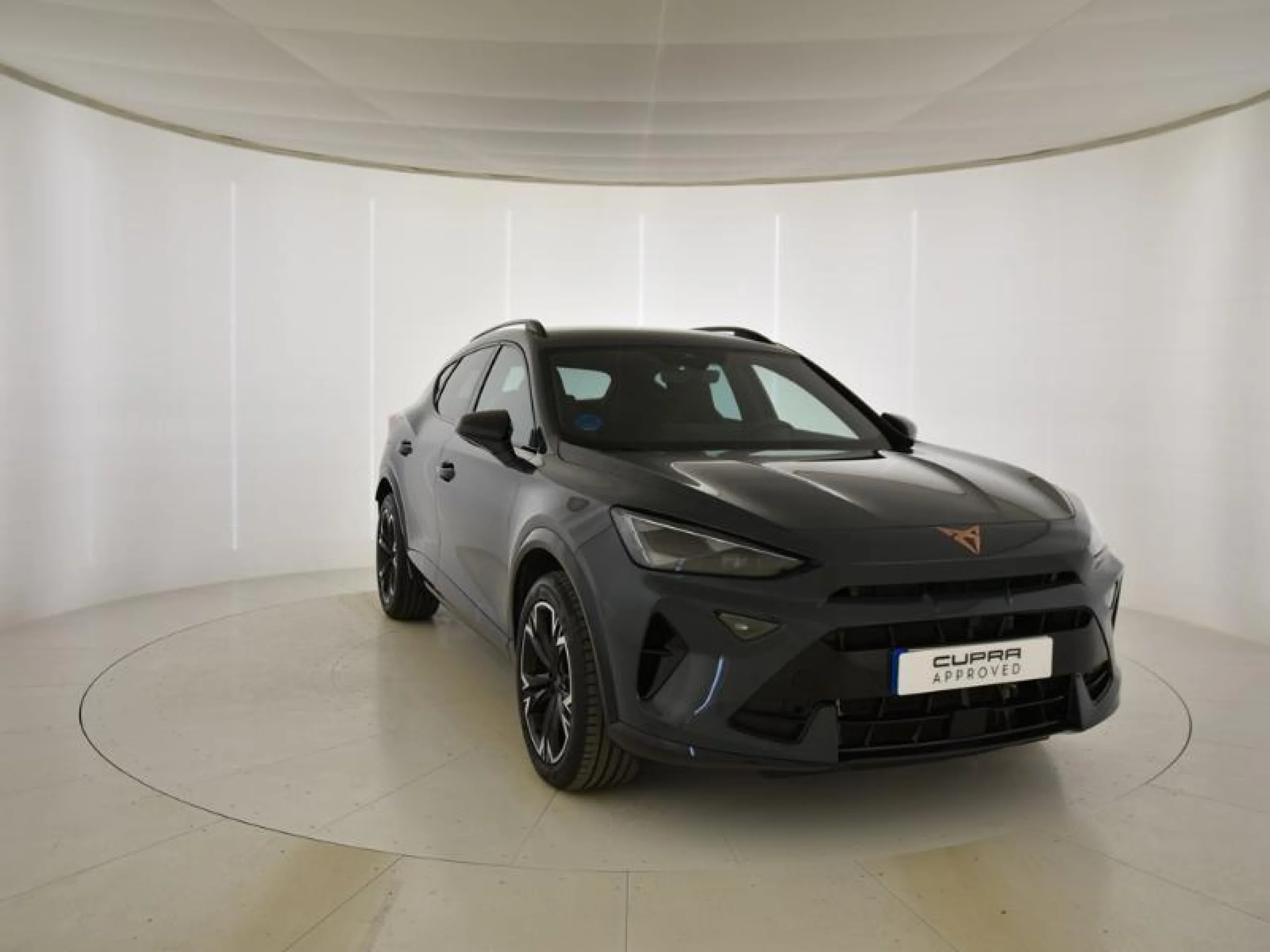 CUPRA FORMENTOR 1.5 TSI E HYBRID 150KW (204 CV) DSG - Foto 1