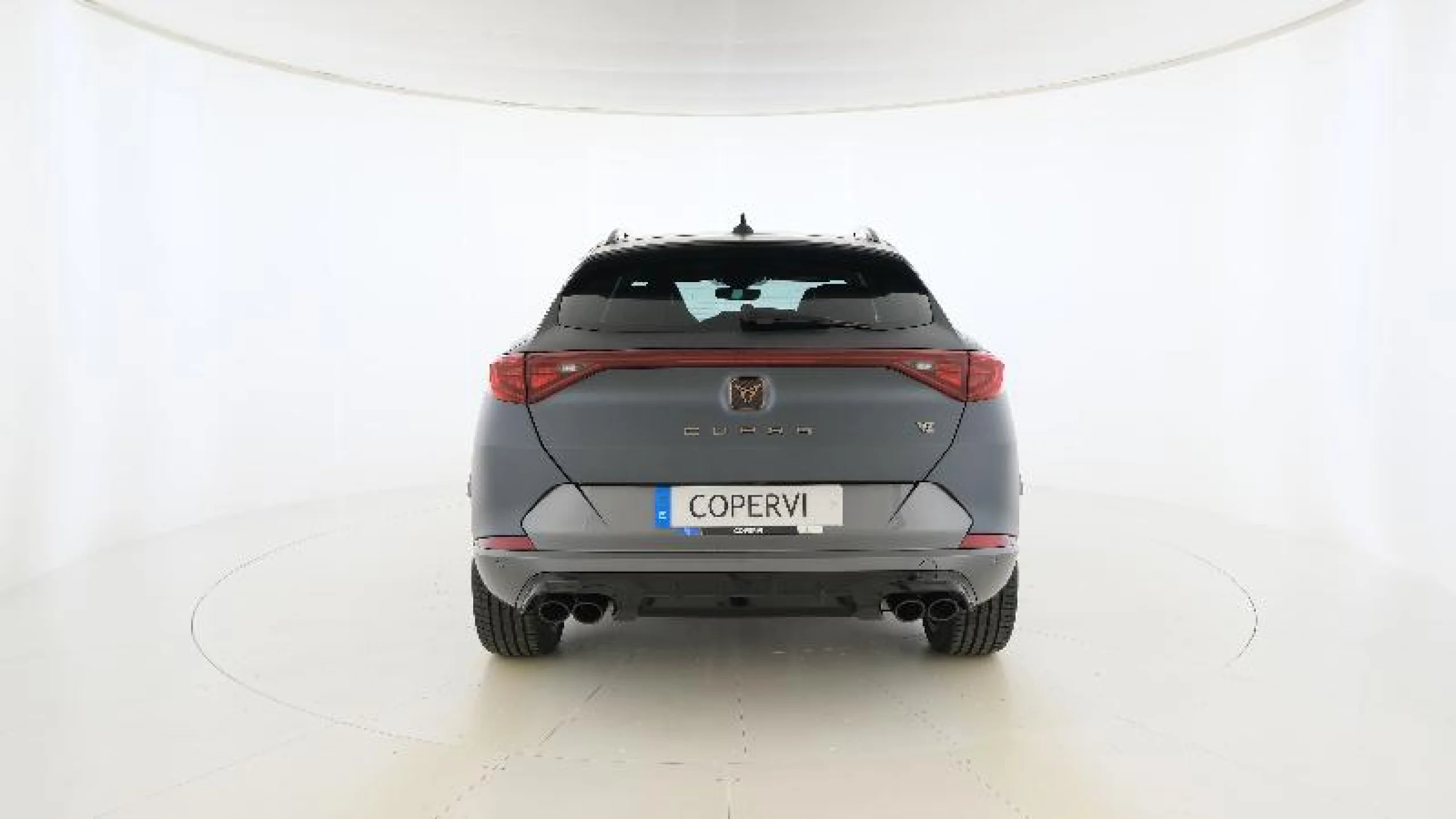 CUPRA FORMENTOR 2.0 TSI 228KW (310 CV) VZ 4DRIVE DSG - Foto 3