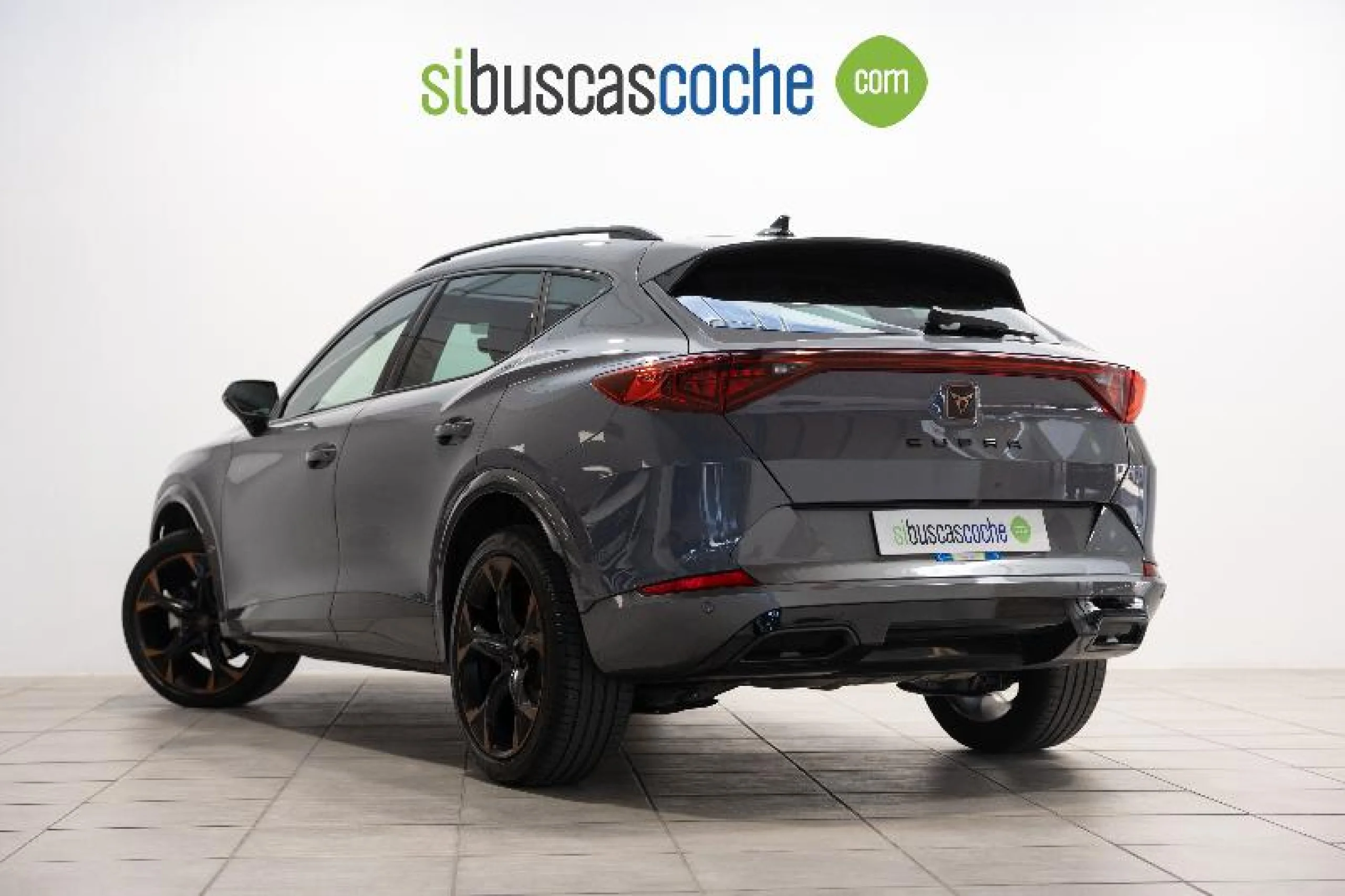 CUPRA FORMENTOR 2.0 TSI 140KW (190 CV) 4DRIVE DSG - Foto 2