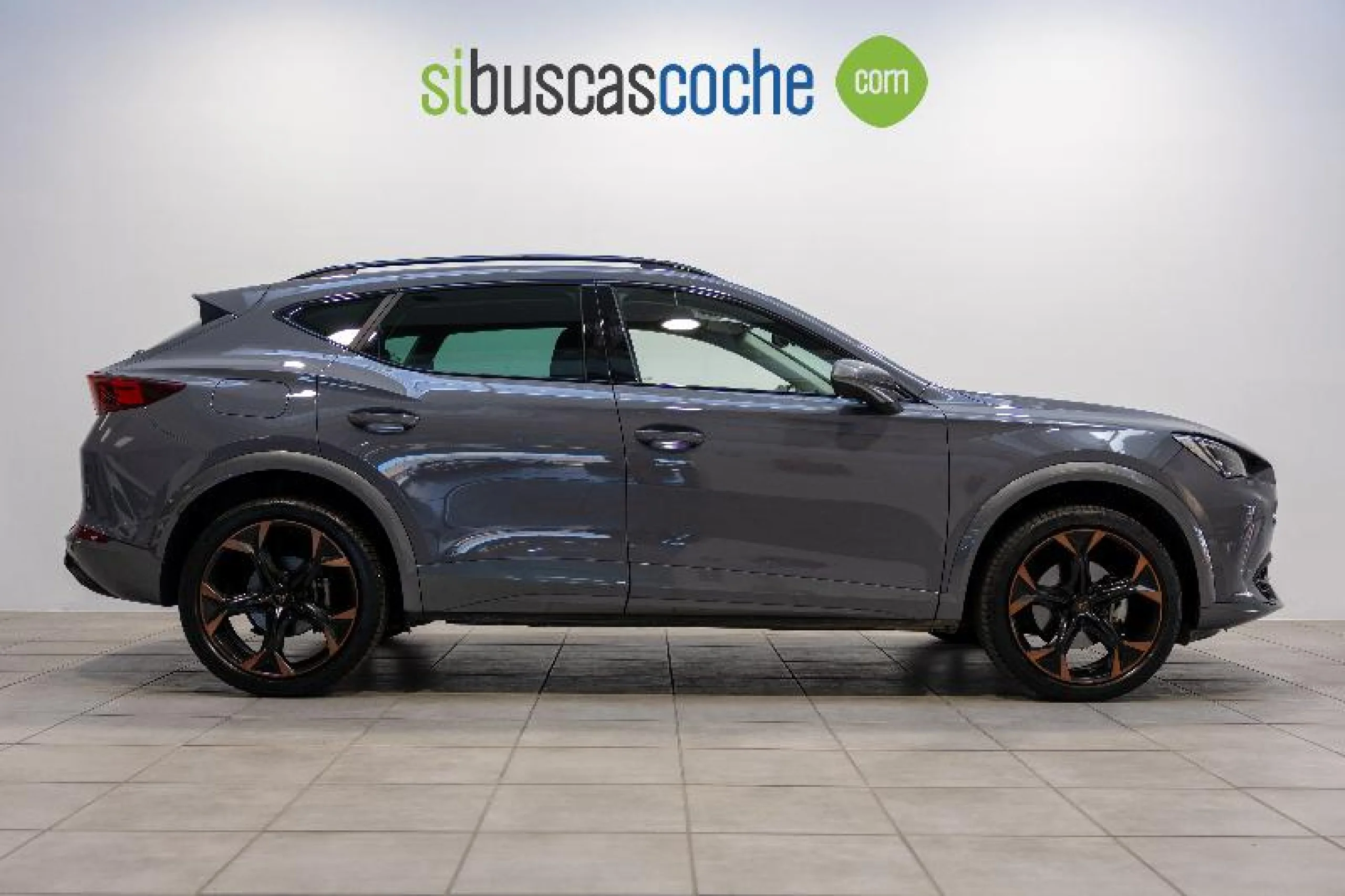 CUPRA FORMENTOR 2.0 TSI 140KW (190 CV) 4DRIVE DSG - Foto 3