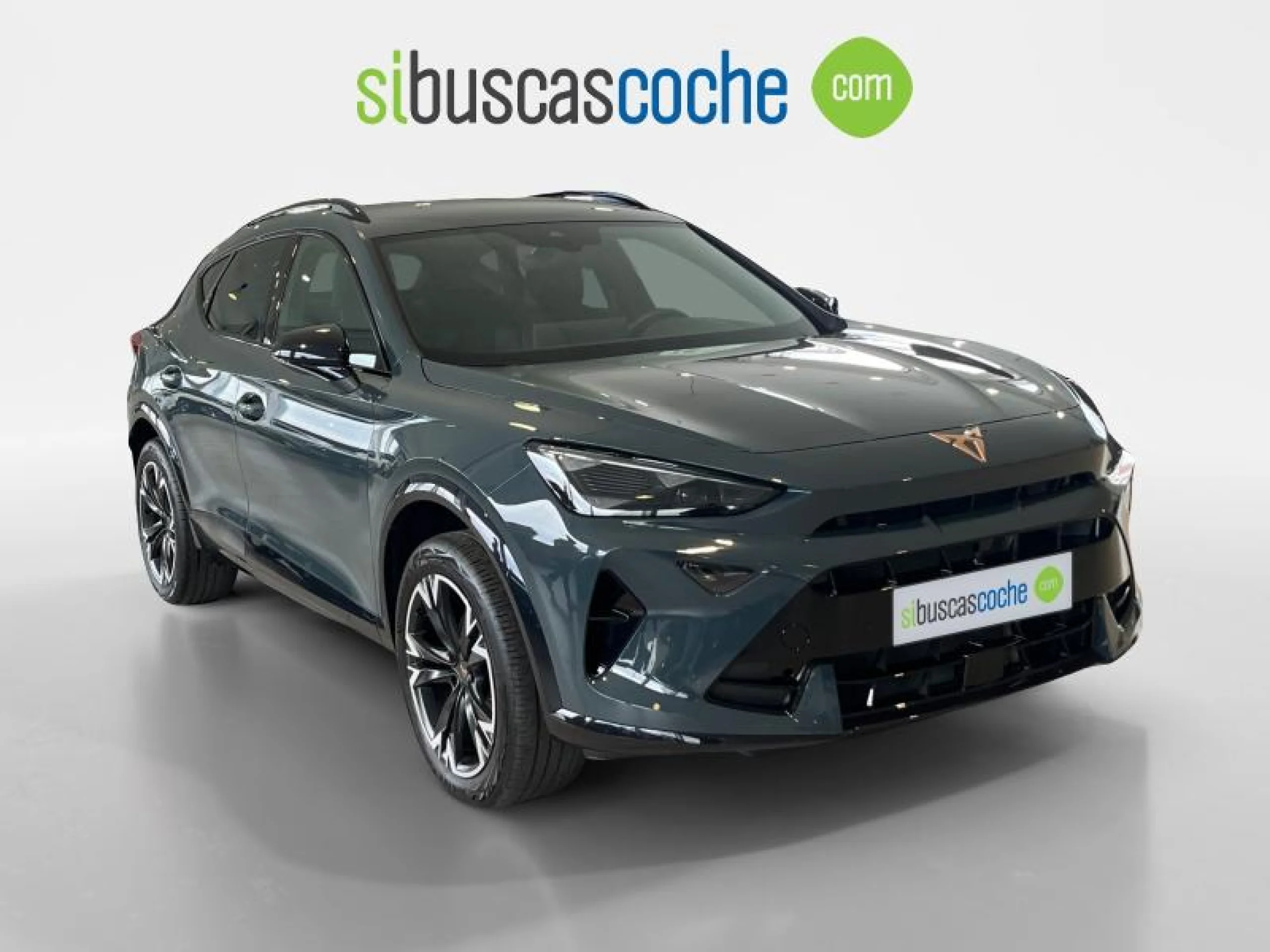CUPRA FORMENTOR 1.5 TSI E HYBRID 150KW (204 CV) DSG - Foto 1
