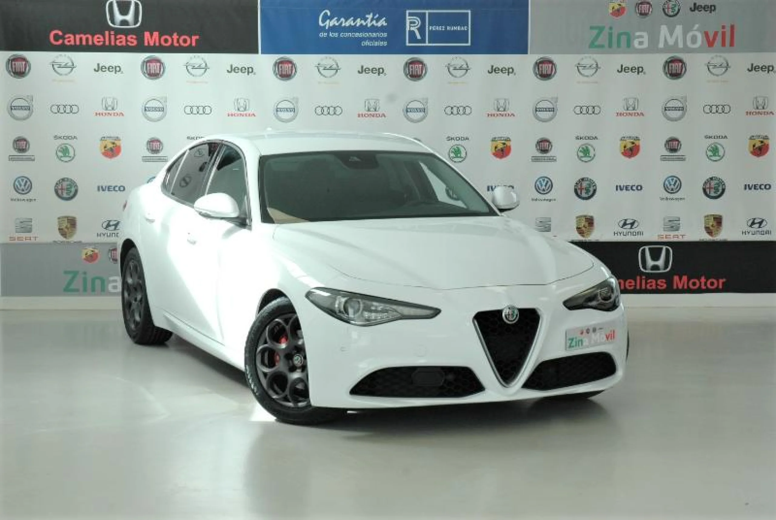 ALFA ROMEO GIULIA 2.2 DIESEL 132KW (180CV) SUPER - Foto 1