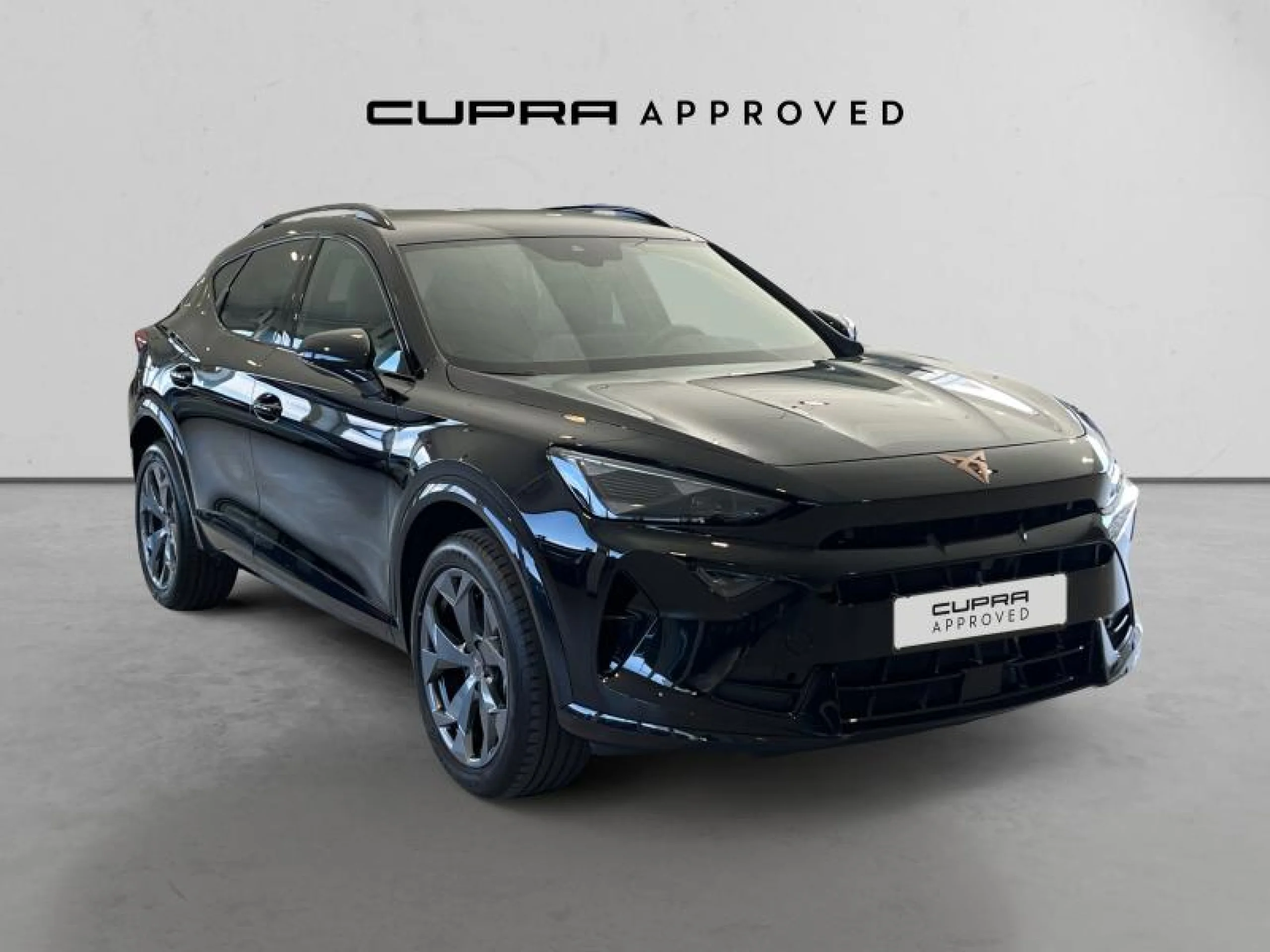 CUPRA FORMENTOR 1.5 TSI 110KW (150 CV) - Foto 1