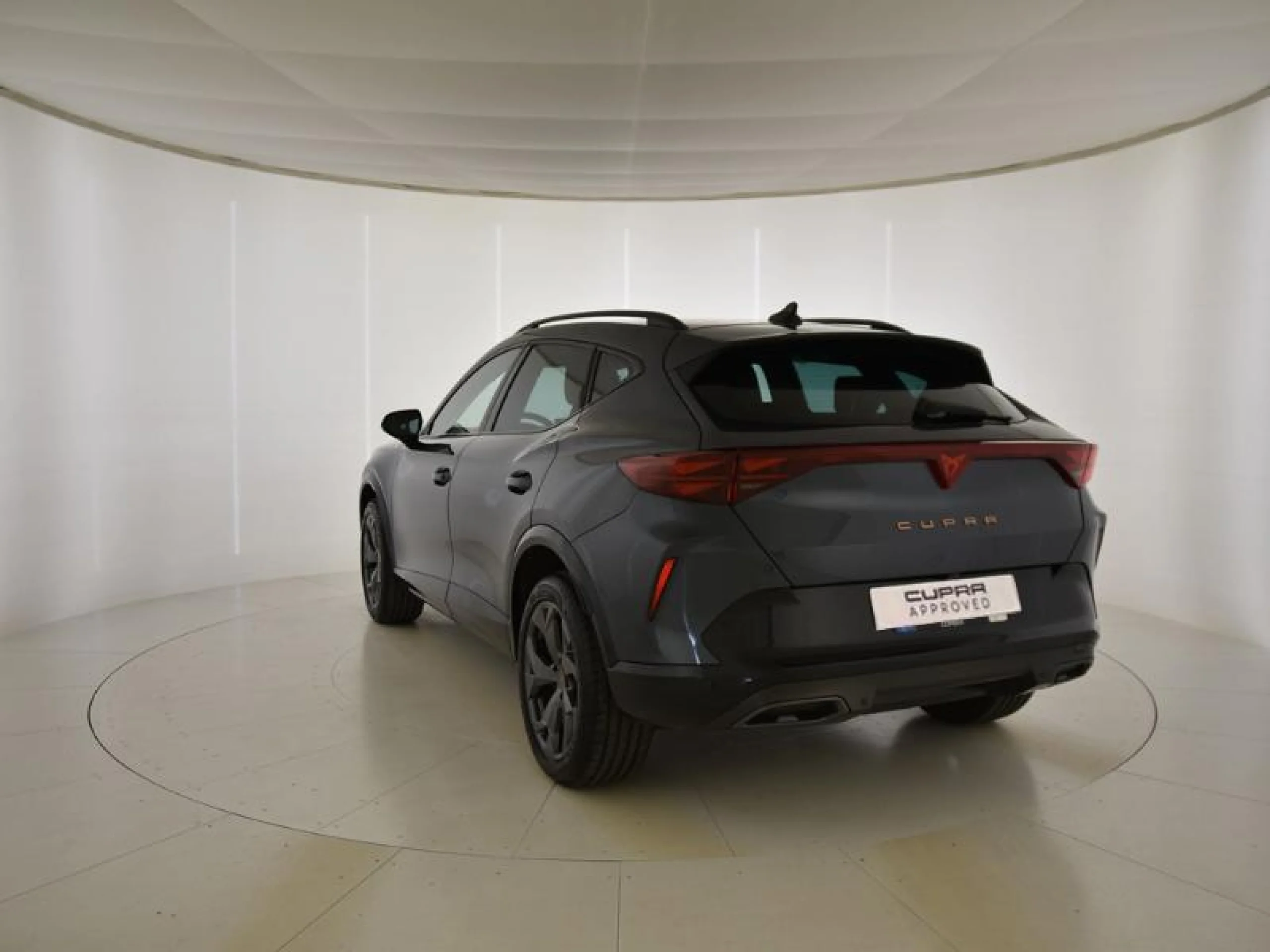 CUPRA FORMENTOR 2.0 TDI 110KW (150 CV) DSG - Foto 2