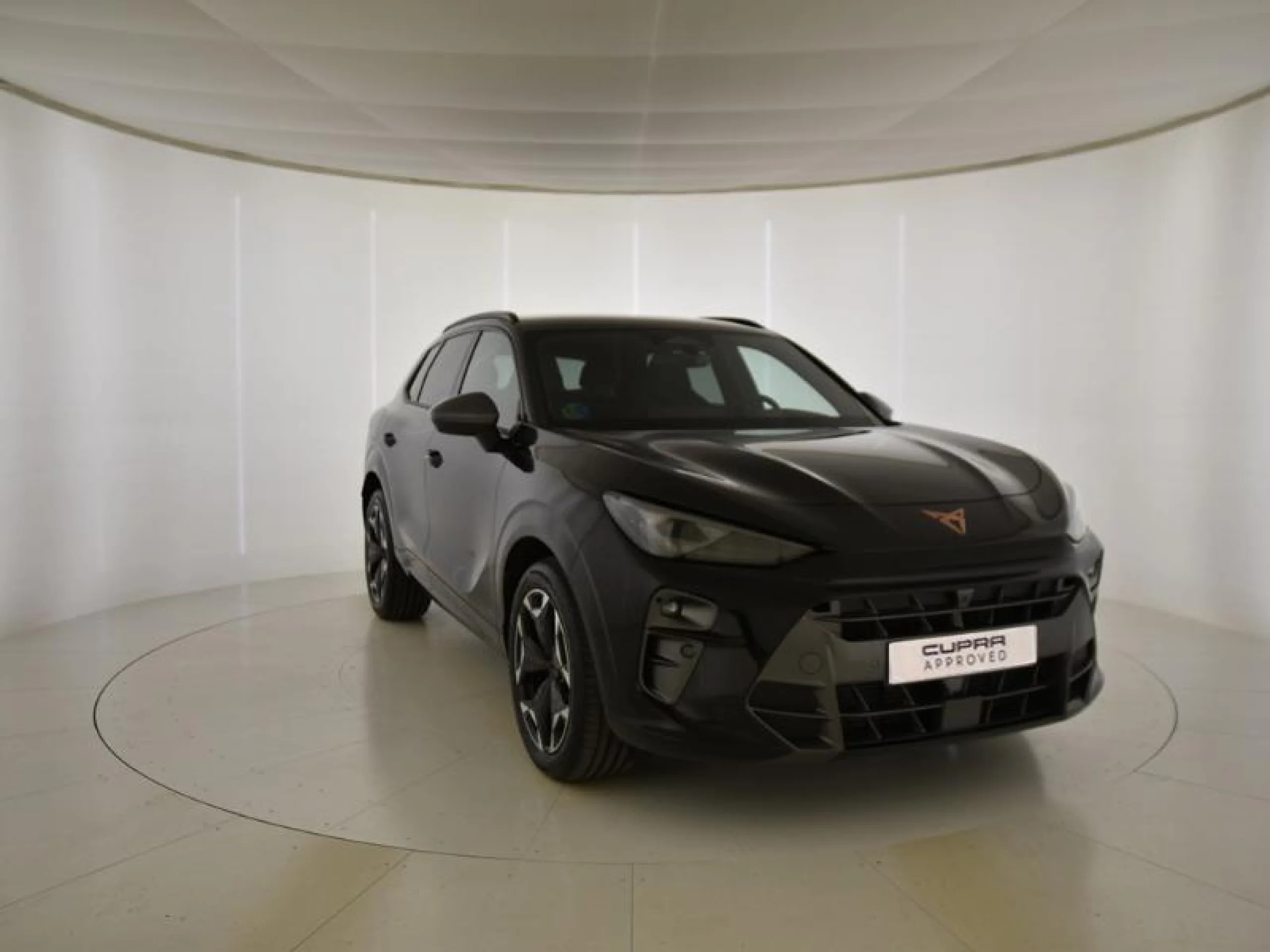 CUPRA TERRAMAR 1.5 ETSI 110KW (150 CV) DSG - Foto 1