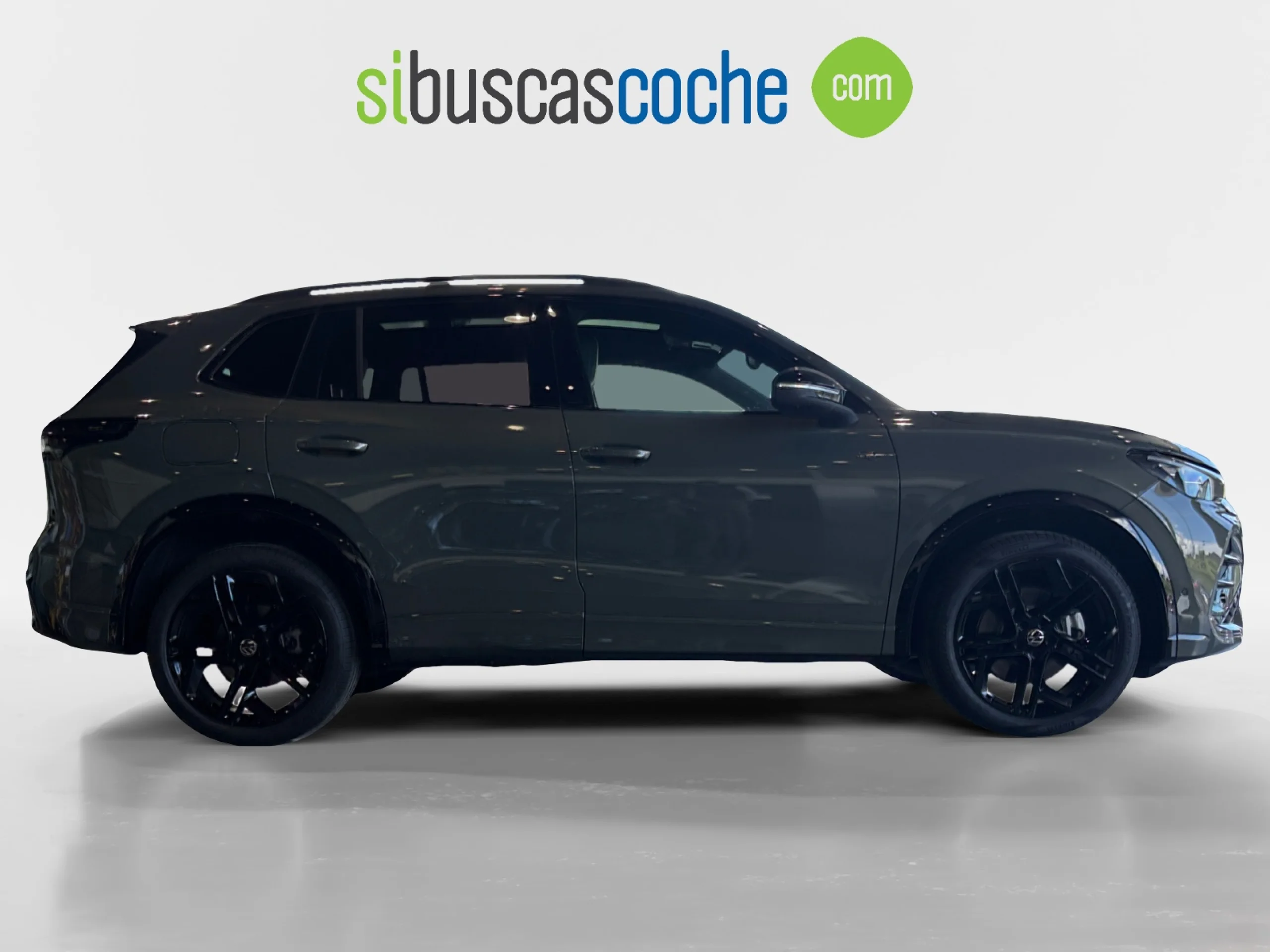 VOLKSWAGEN TIGUAN R LINE 2.0 TDI 142KW (193CV) DSG 4MOTION - Foto 3
