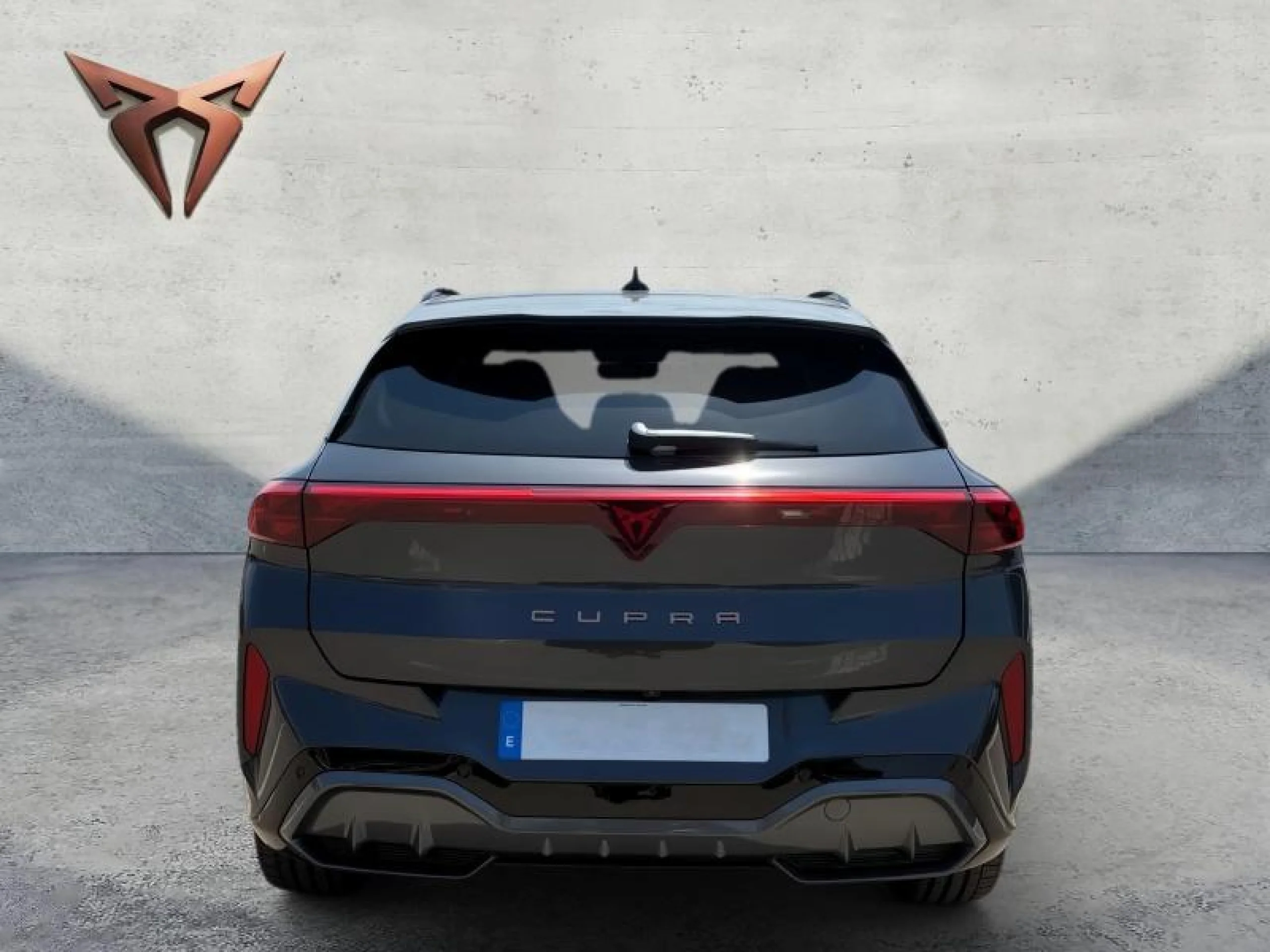 CUPRA TERRAMAR 2.0 TSI 195KW (265 CV) VZ DSG 4 DRIVE - Foto 3