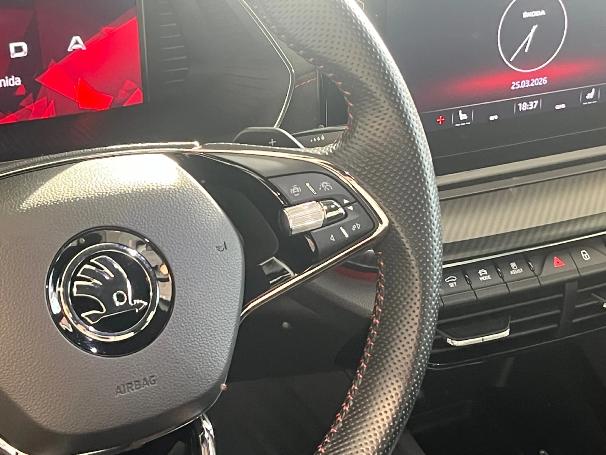 SKODA OCTAVIA 2.0 TSI 180KW (245CV) DSG RS - Foto 10