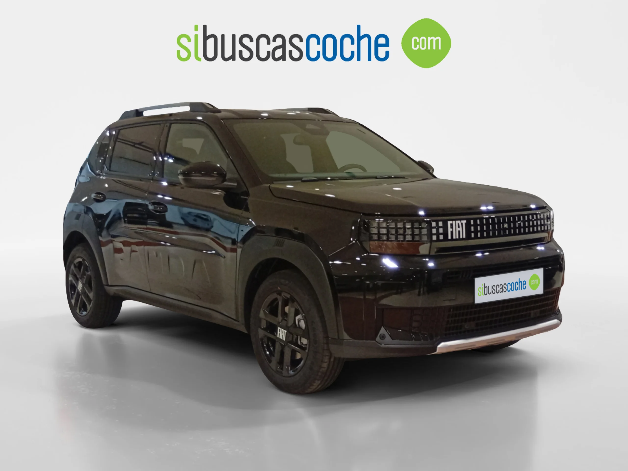 FIAT PANDA GRANDE PANDA HYBRID MY25 GRANDE PANDA MHEV ICON - Foto 1