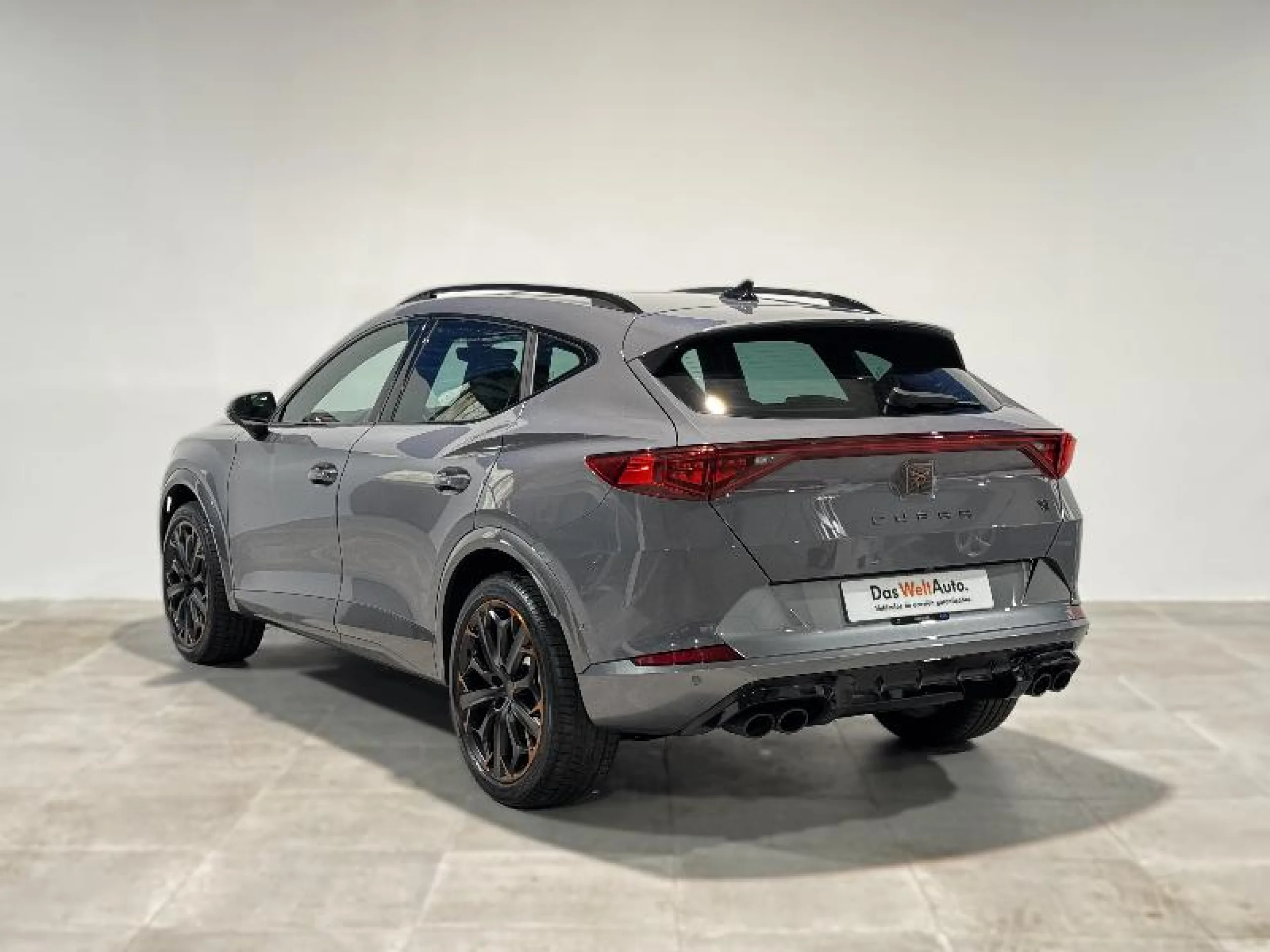 CUPRA FORMENTOR 2.0 TSI 228KW (310 CV) VZ 4DRIVE DSG - Foto 2