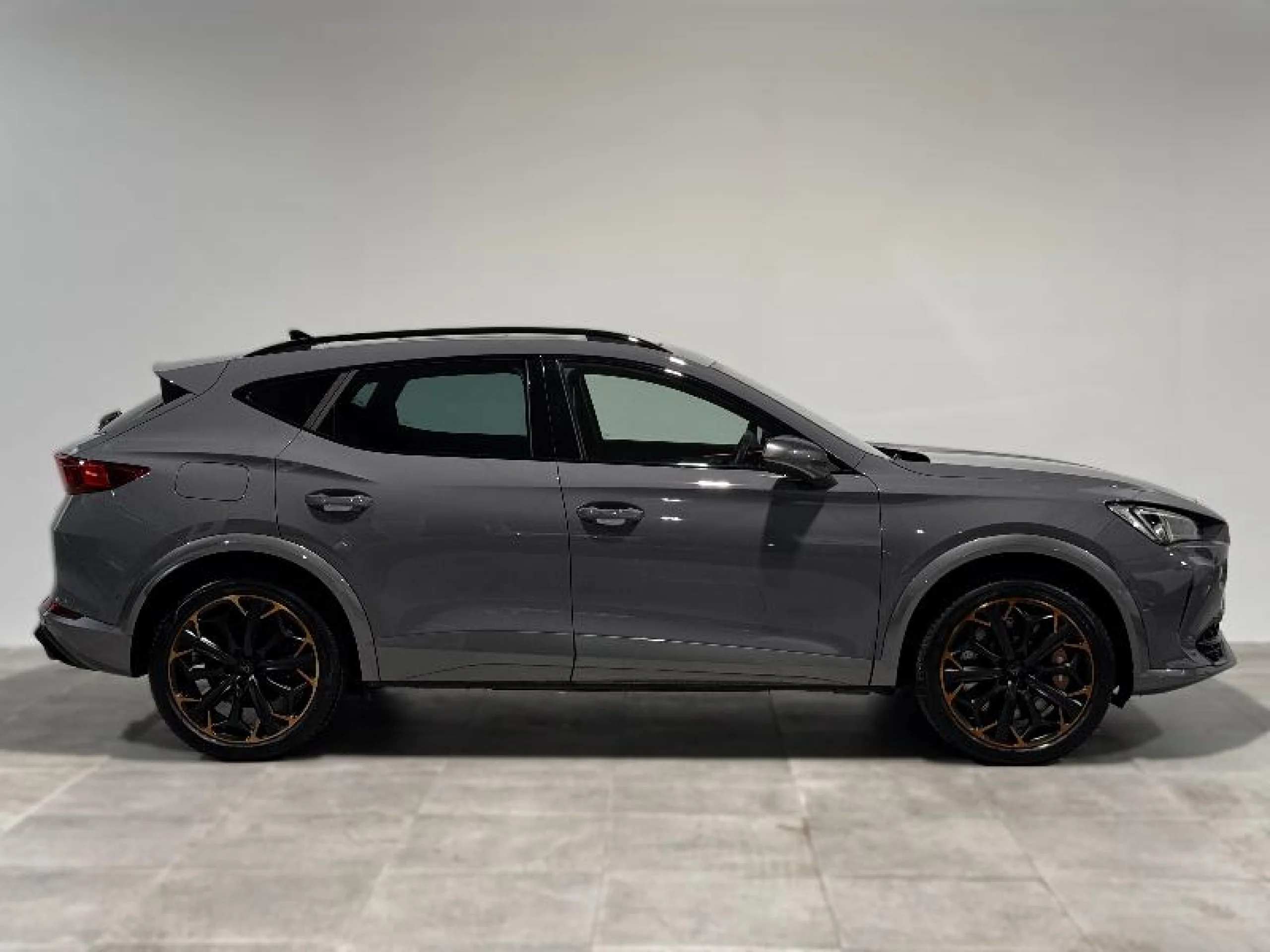 CUPRA FORMENTOR 2.0 TSI 228KW (310 CV) VZ 4DRIVE DSG - Foto 3