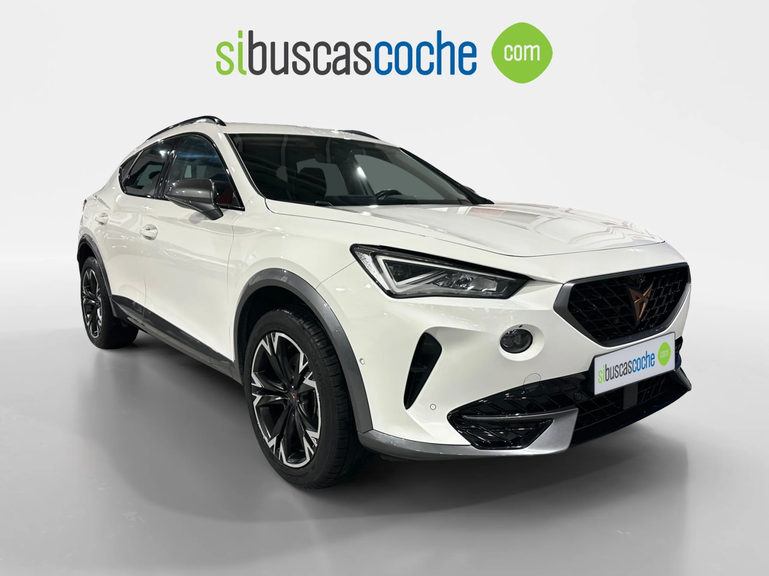 CUPRA FORMENTOR 1.5 TSI 110KW (150 CV) DSG - Foto 1