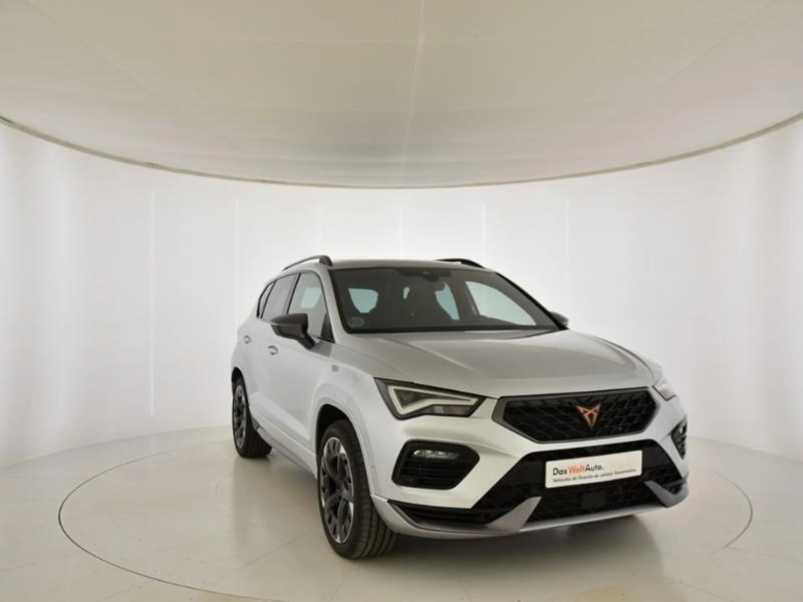 CUPRA ATECA 2.0 TSI 221KW (300CV) 4DRIVE DSG - Foto 1