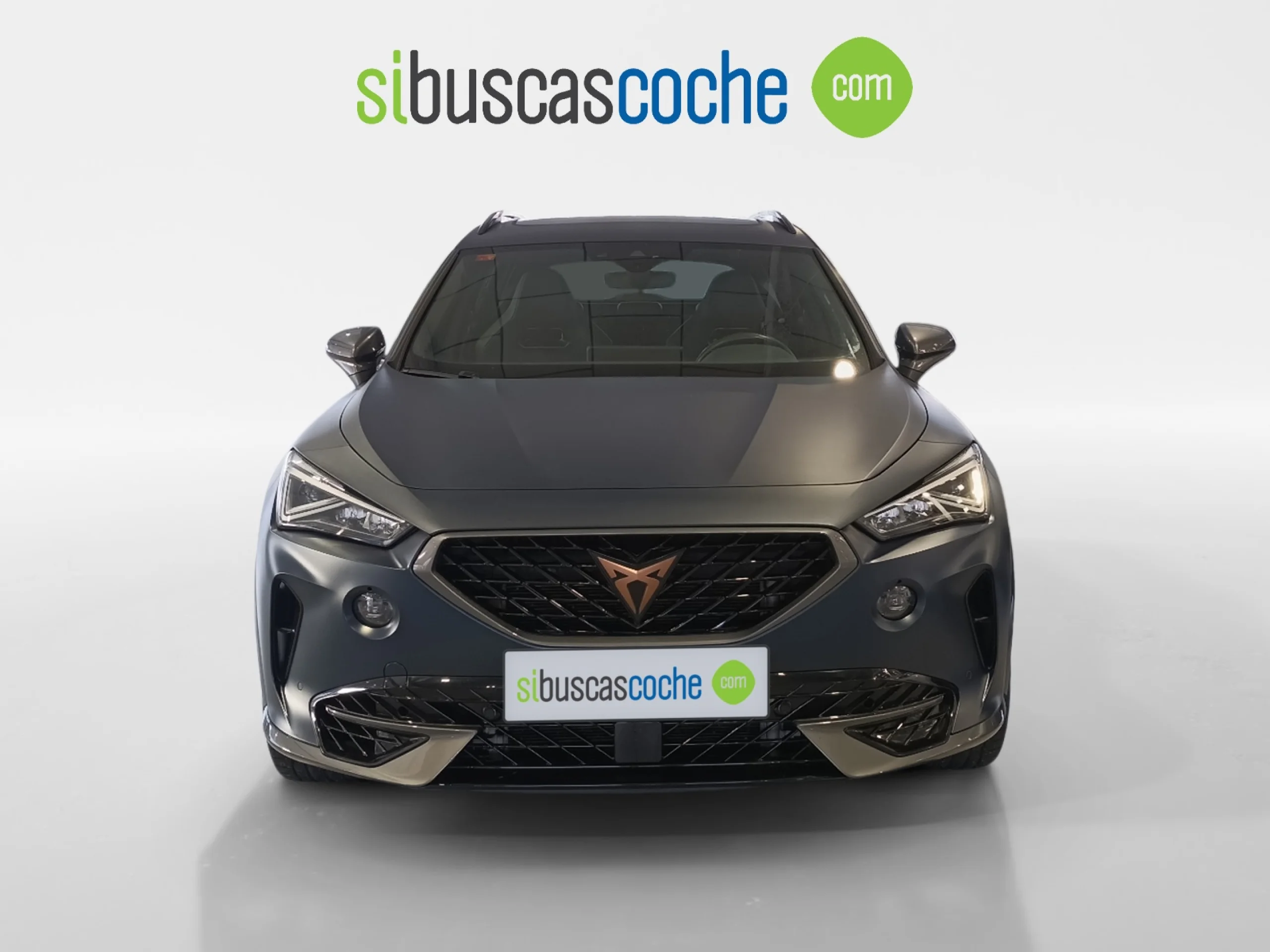 CUPRA FORMENTOR 2.0 TSI 228KW (310 CV) VZ 4DRIVE DSG - Foto 12