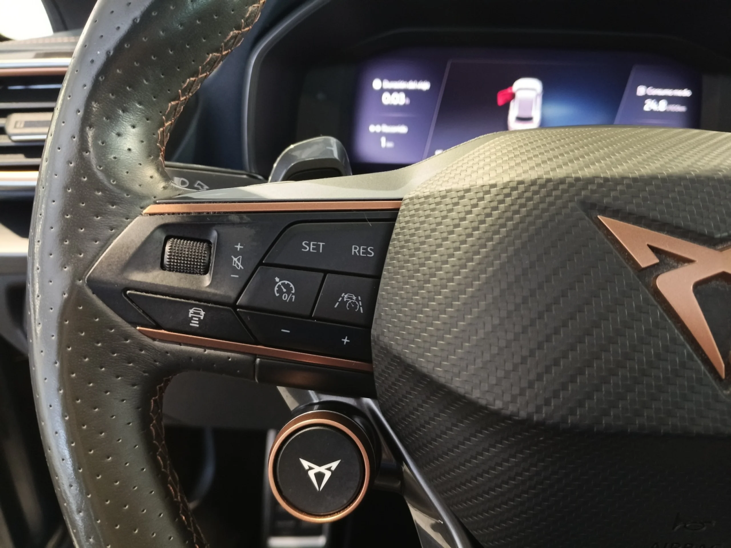 CUPRA FORMENTOR 2.0 TSI 228KW (310 CV) VZ 4DRIVE DSG - Foto 14