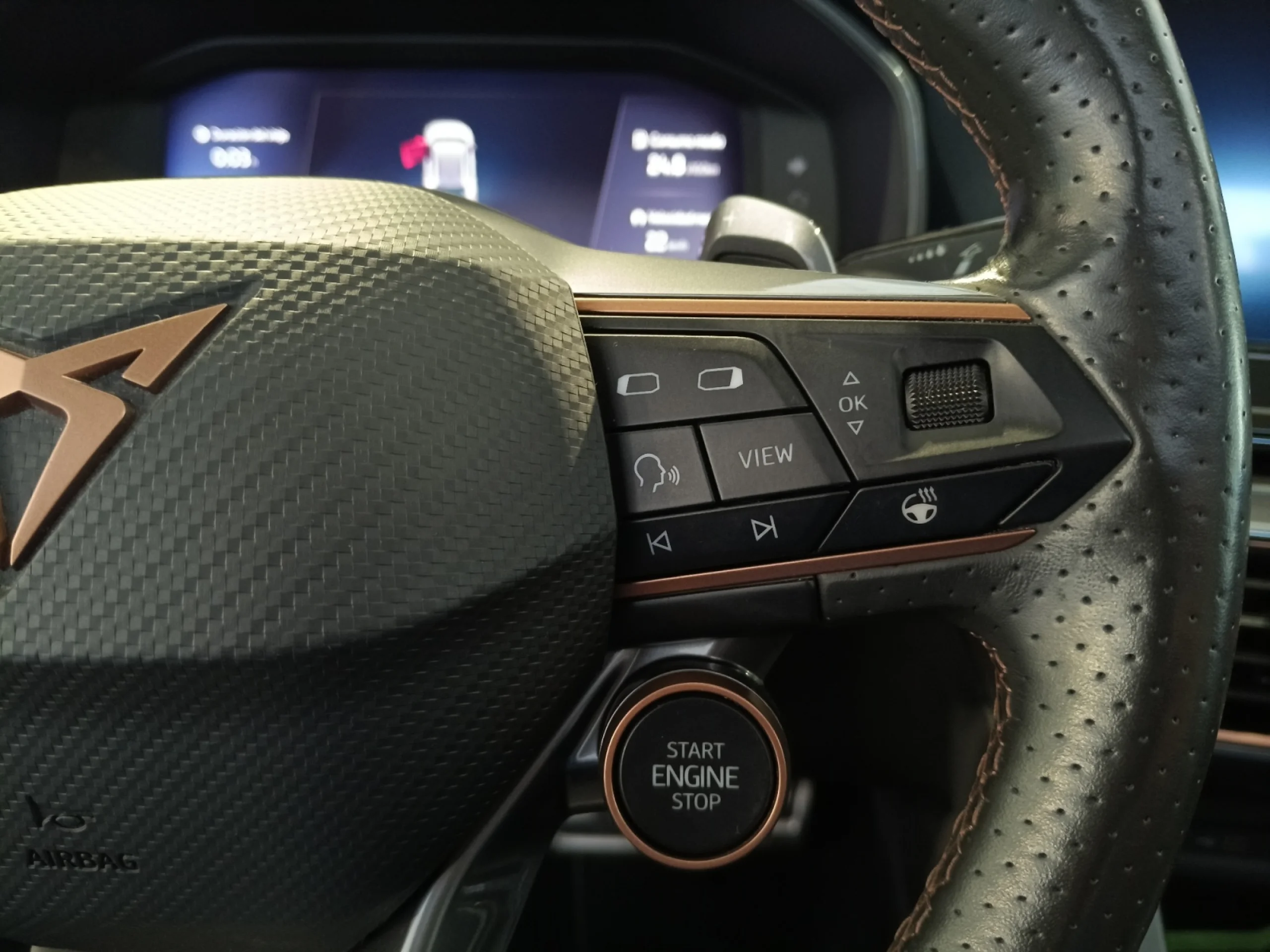 CUPRA FORMENTOR 2.0 TSI 228KW (310 CV) VZ 4DRIVE DSG - Foto 15