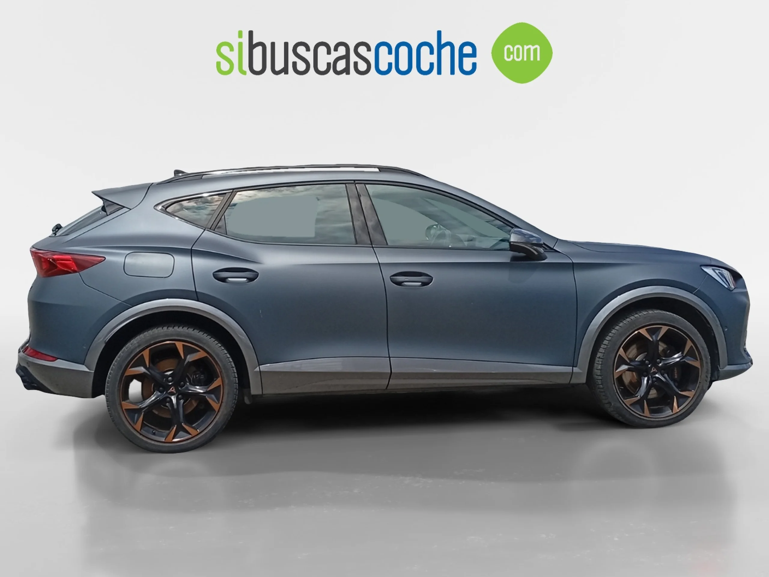 CUPRA FORMENTOR 2.0 TSI 228KW (310 CV) VZ 4DRIVE DSG - Foto 3