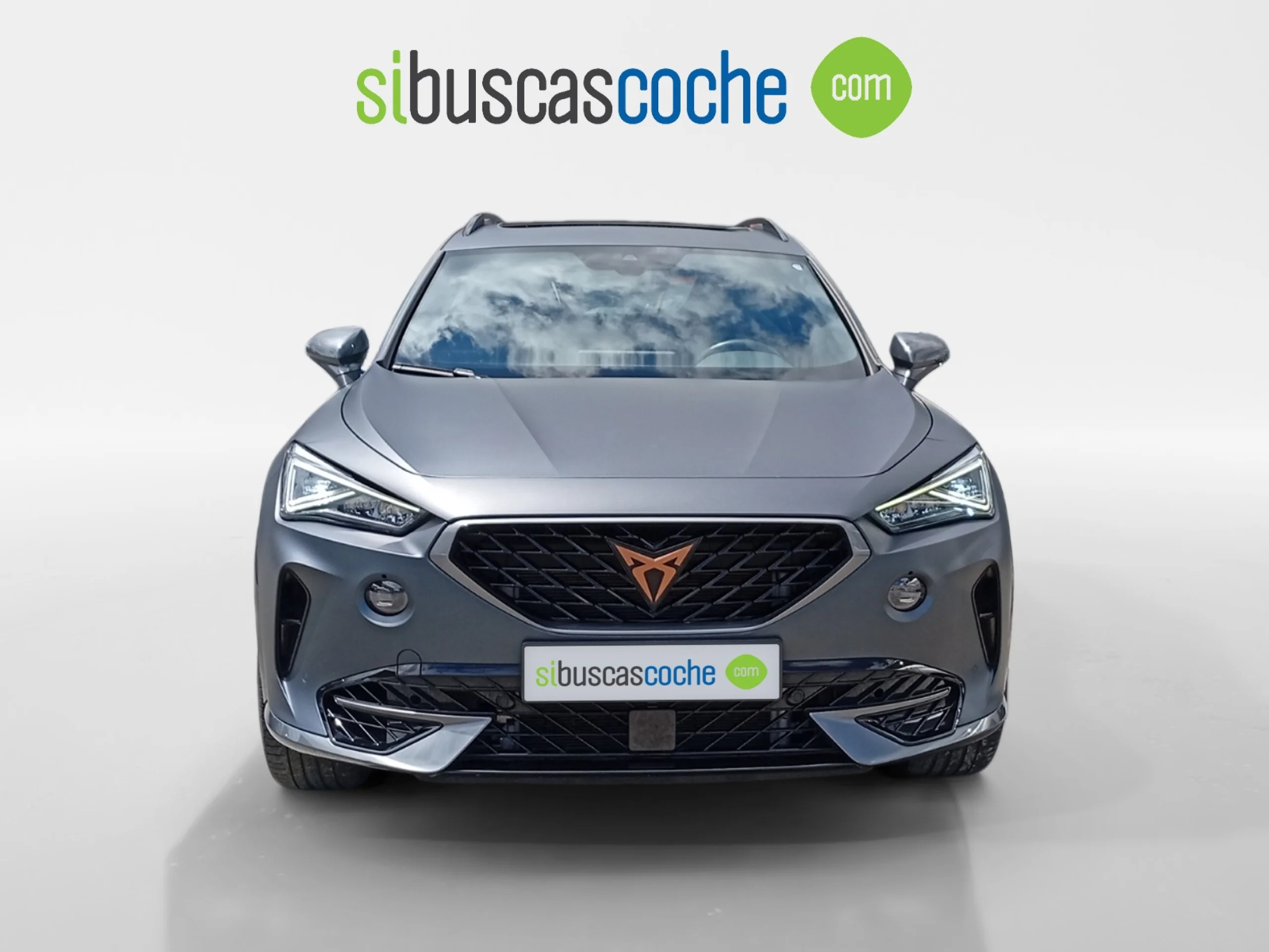 CUPRA FORMENTOR 2.0 TSI 228KW (310 CV) VZ 4DRIVE DSG - Foto 12