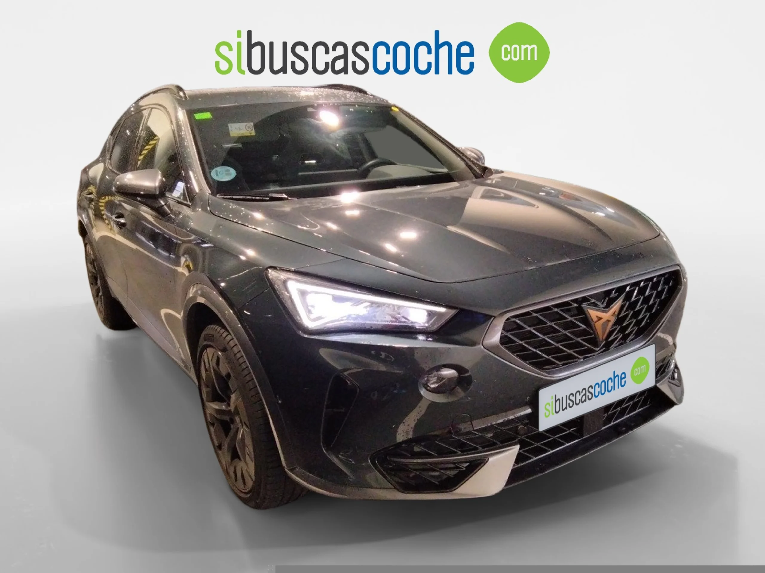 CUPRA FORMENTOR 2.0 TDI 110KW (150 CV) 4DRIVE DSG - Foto 1