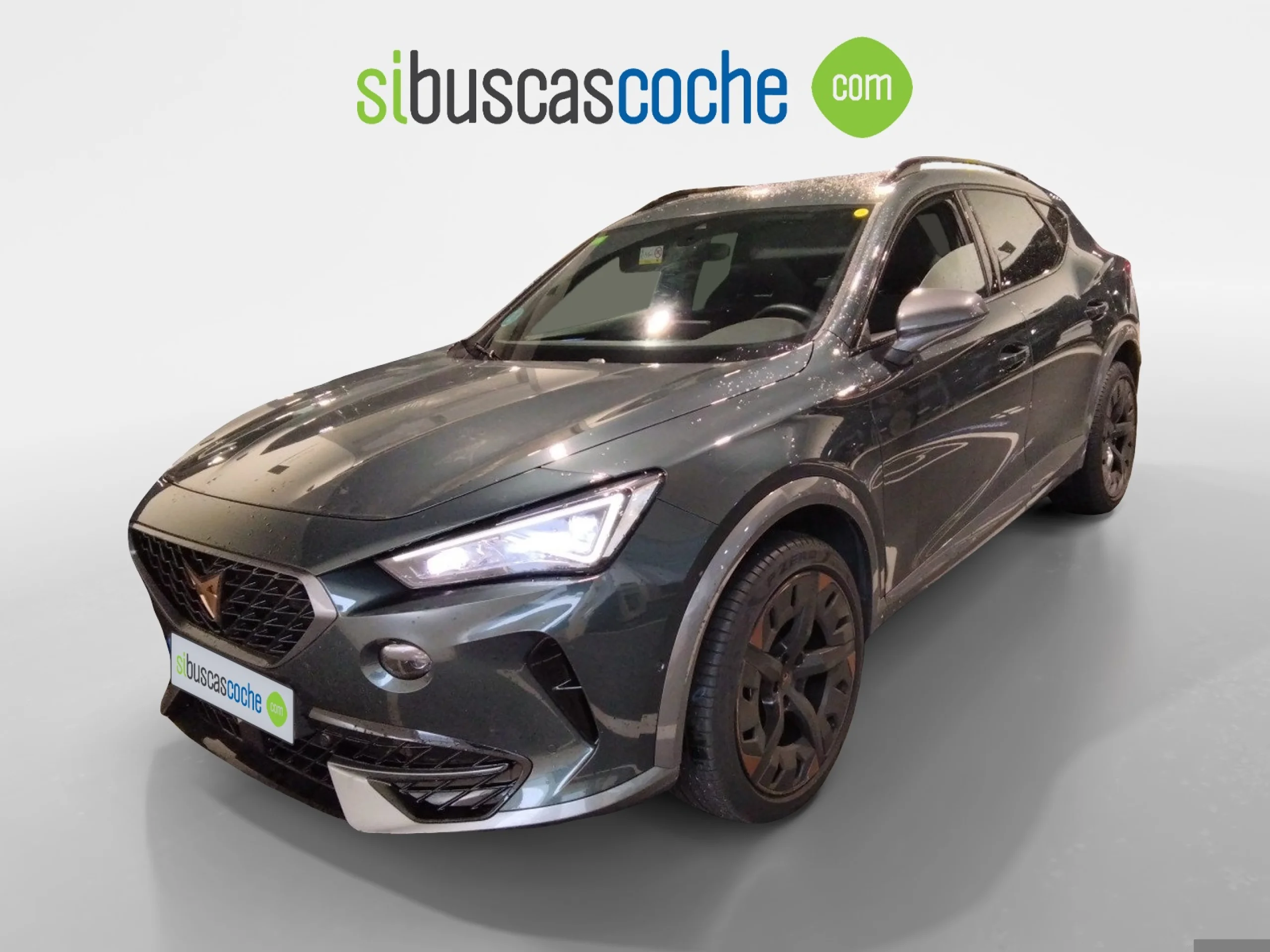 CUPRA FORMENTOR 2.0 TDI 110KW (150 CV) 4DRIVE DSG - Foto 3