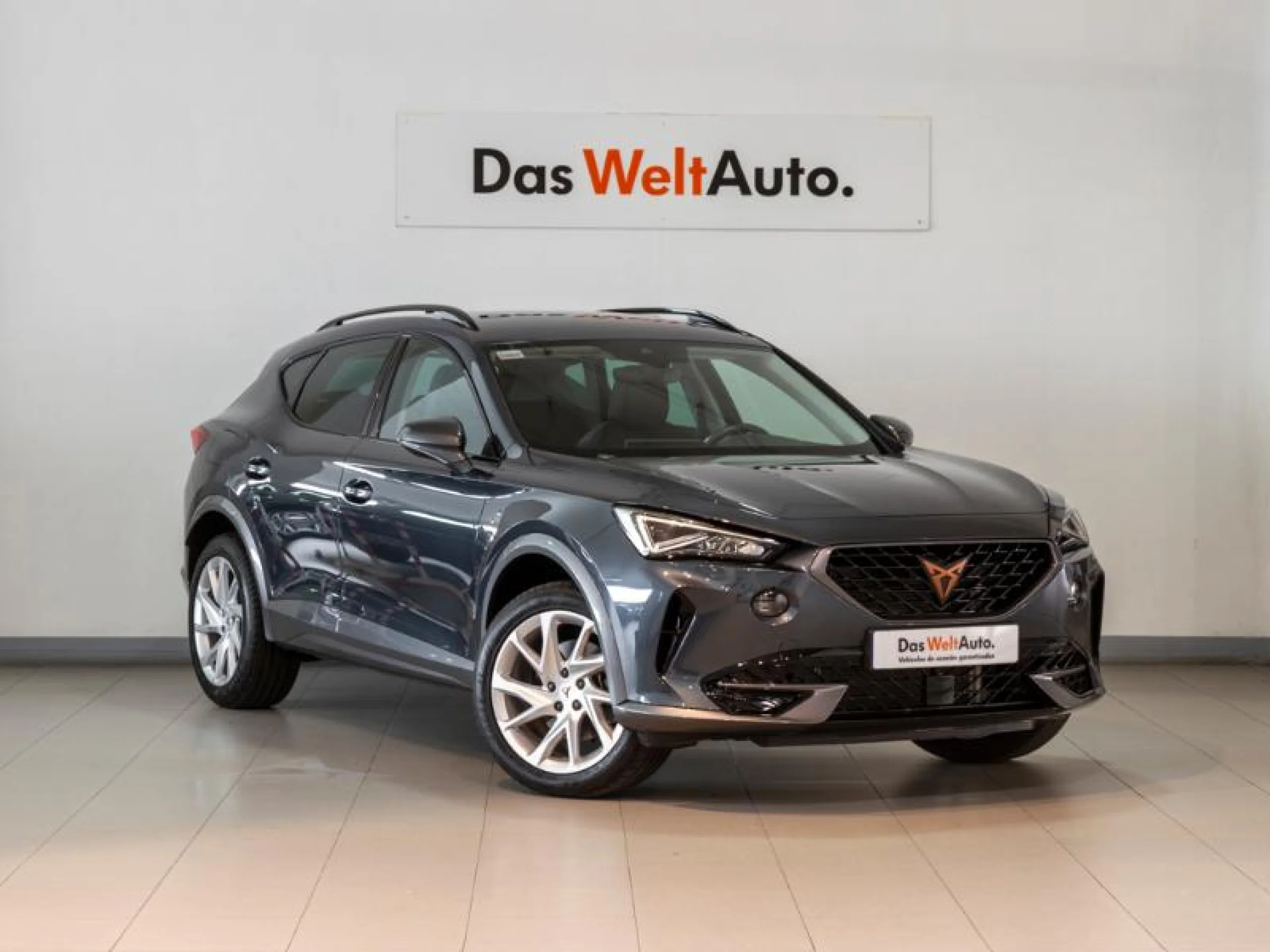 CUPRA FORMENTOR 1.5 TSI 110KW (150 CV) DSG - Foto 1