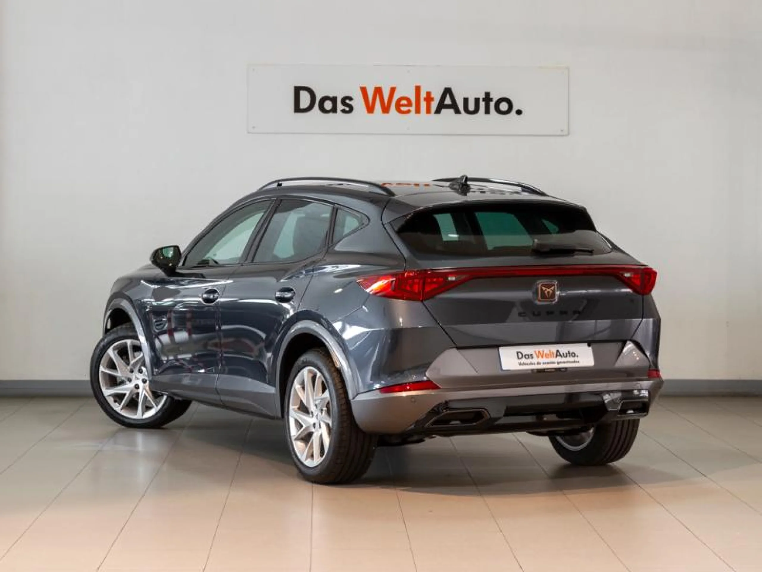 CUPRA FORMENTOR 1.5 TSI 110KW (150 CV) DSG - Foto 2
