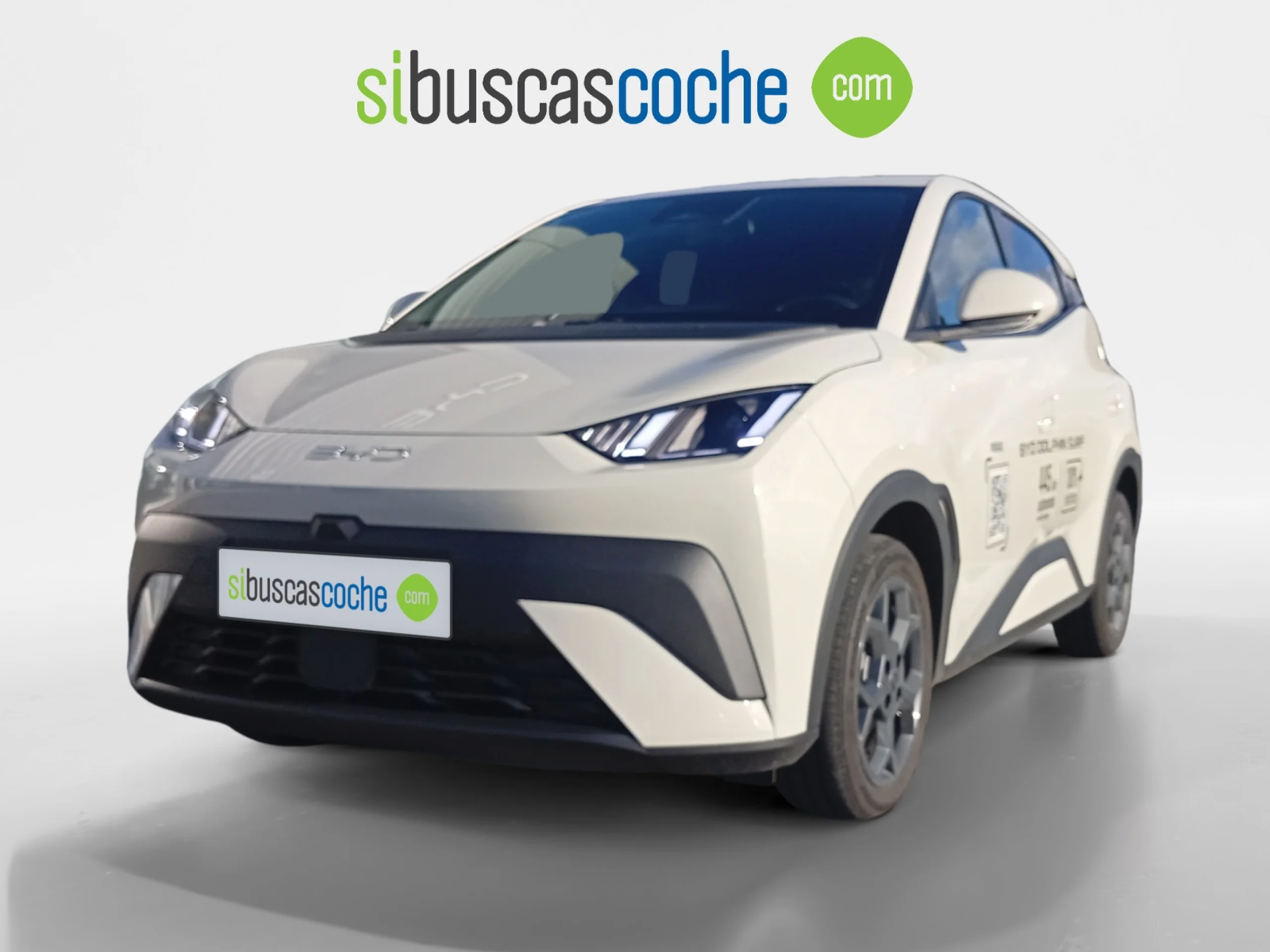 BYD DOLPHIN SURF COMFORT - Foto 16