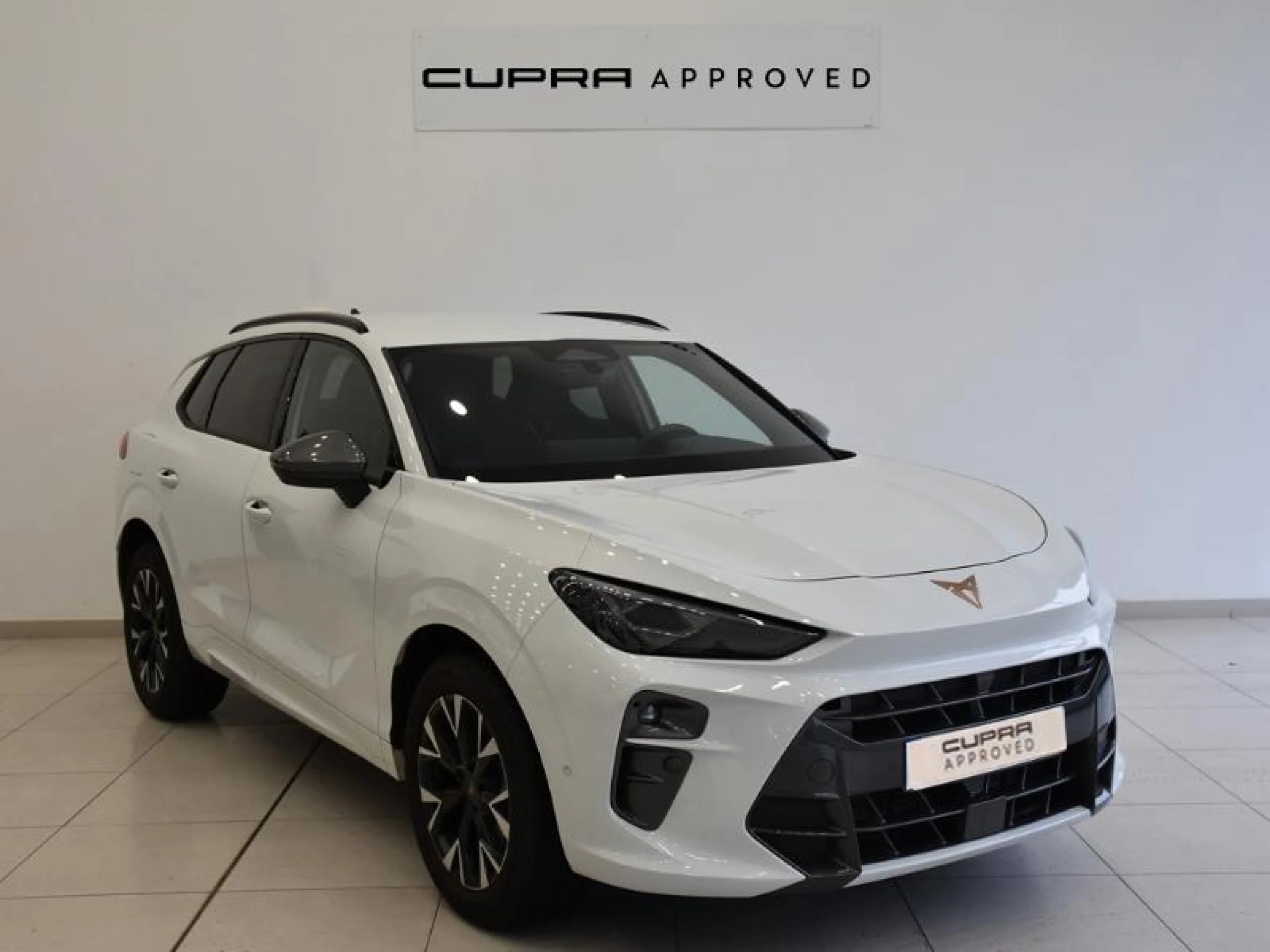 CUPRA TERRAMAR 1.5 ETSI 110KW (150 CV) DSG - Foto 1