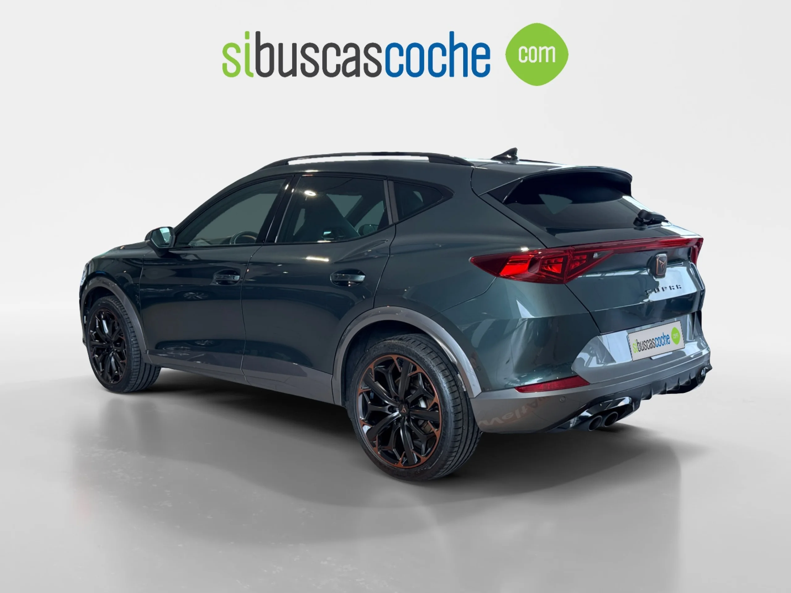 CUPRA FORMENTOR 2.0 TSI 228KW (310 CV) VZ 4DRIVE DSG - Foto 2
